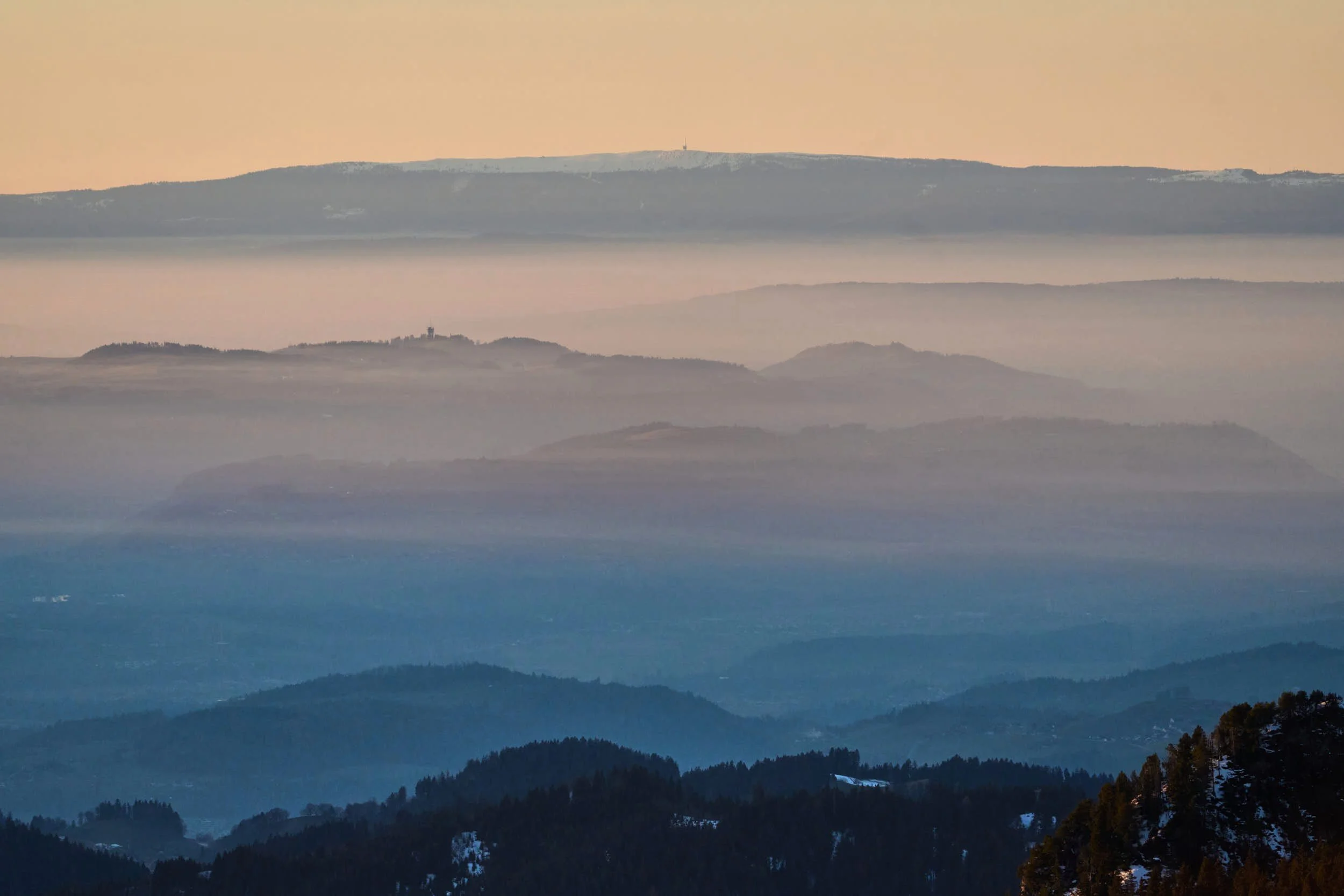 Niederhorn_DSC06498_t 1.jpg
