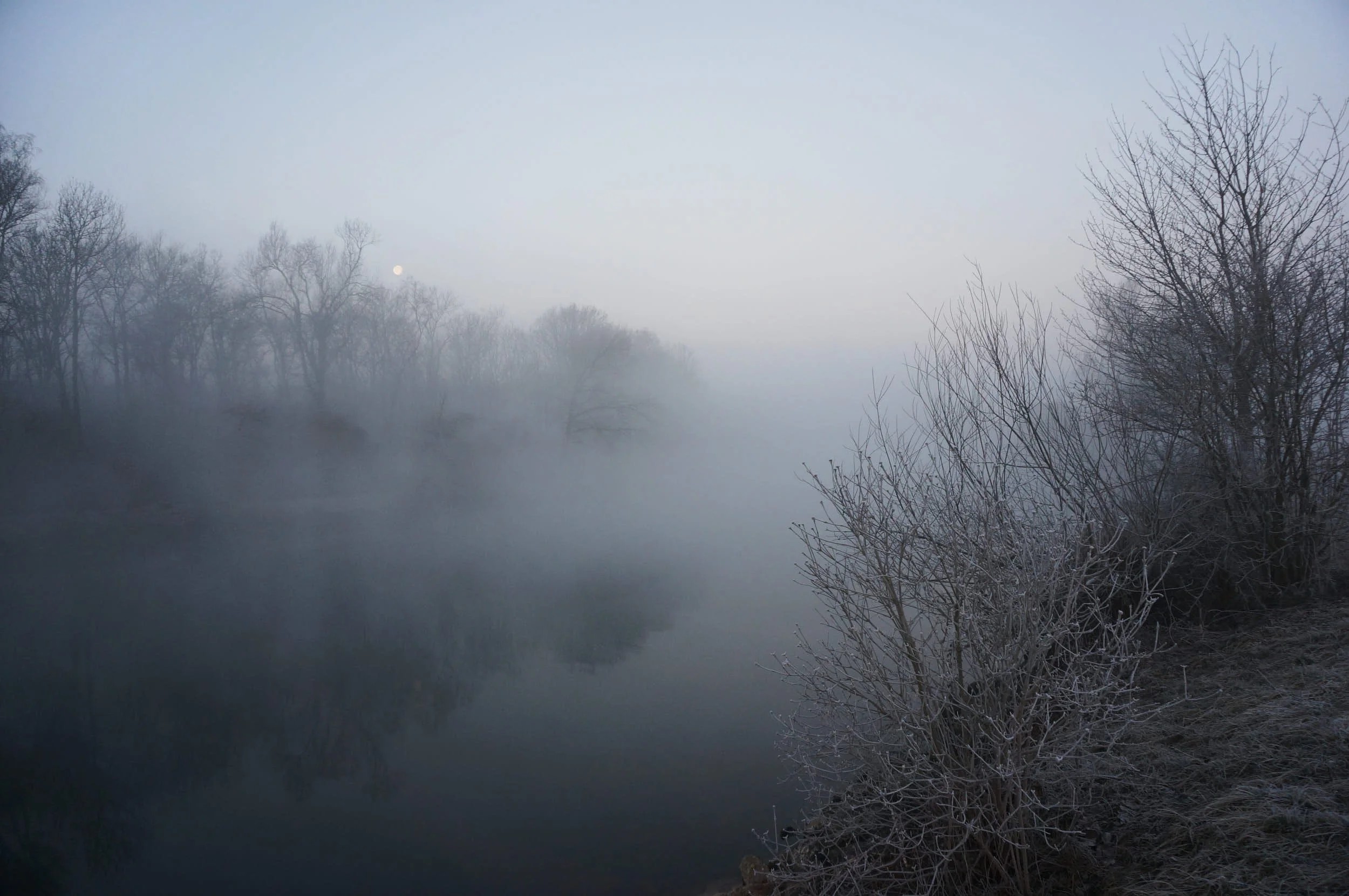 Fanel_DSC07733-_t 1.jpg