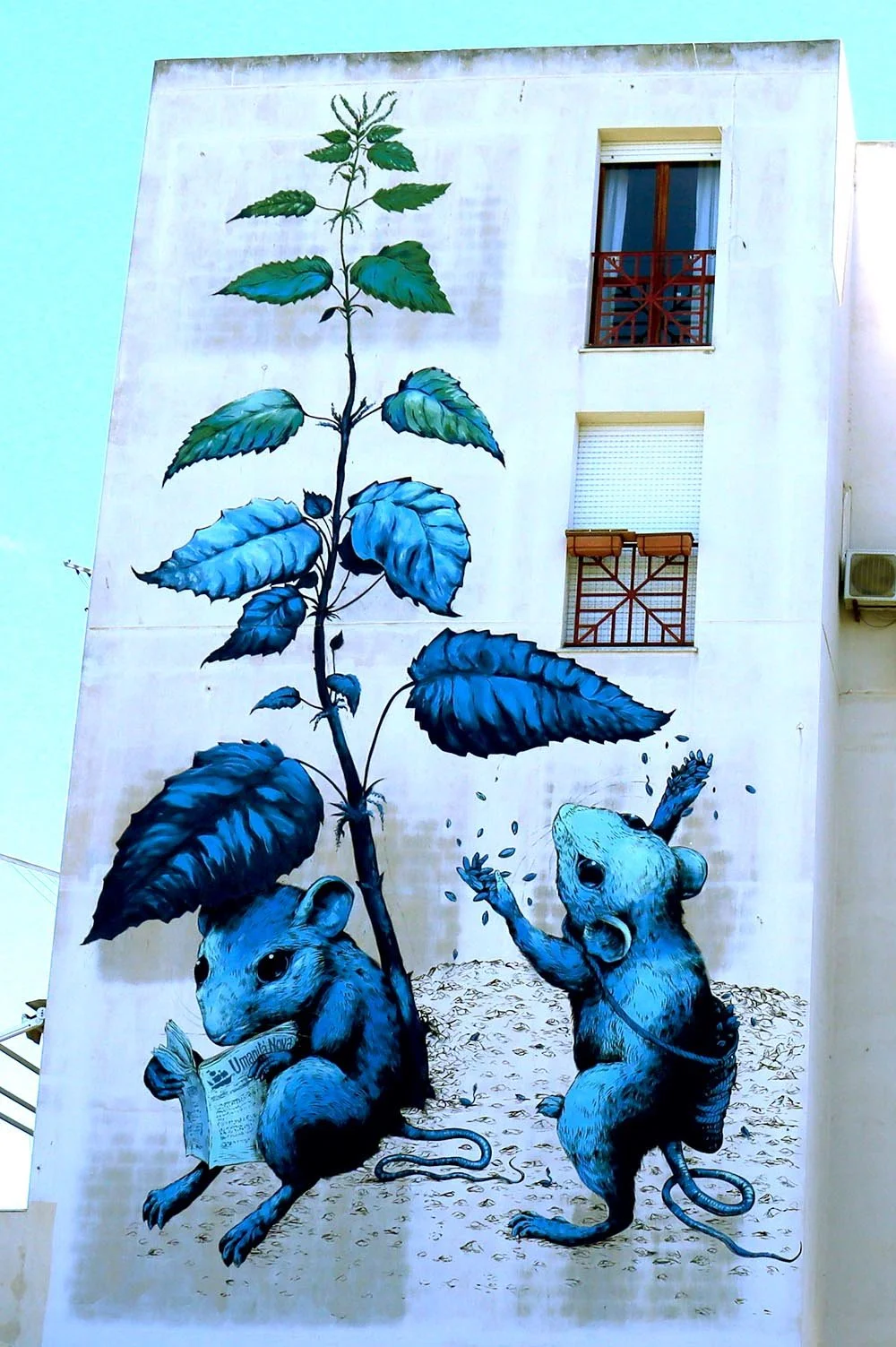 Copia de IMG_6414.JPG