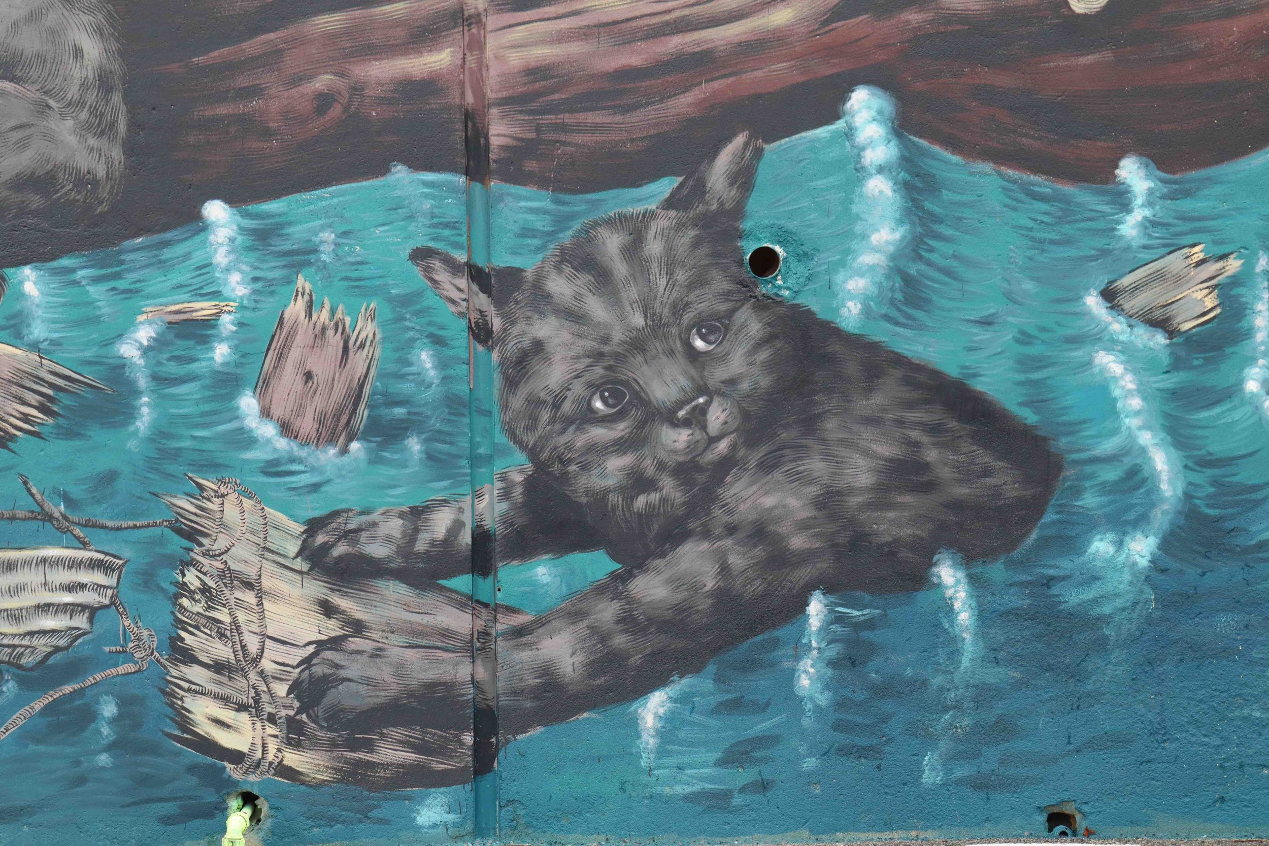 Civitanova Marche 2022