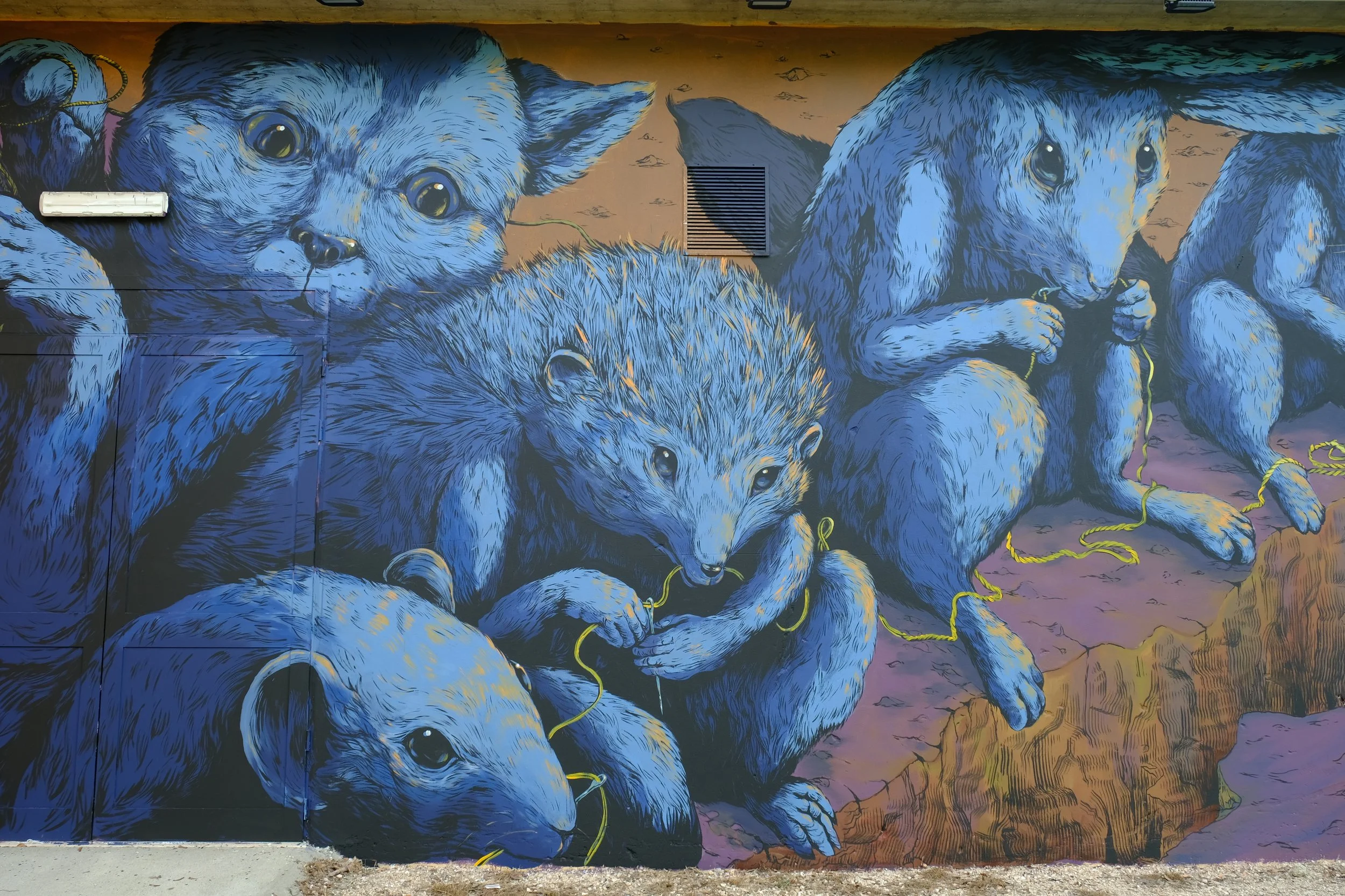 Medolla 2022 - with Bastardilla