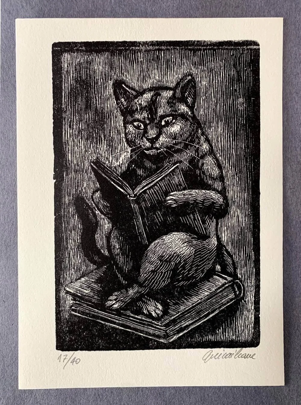 reading cat