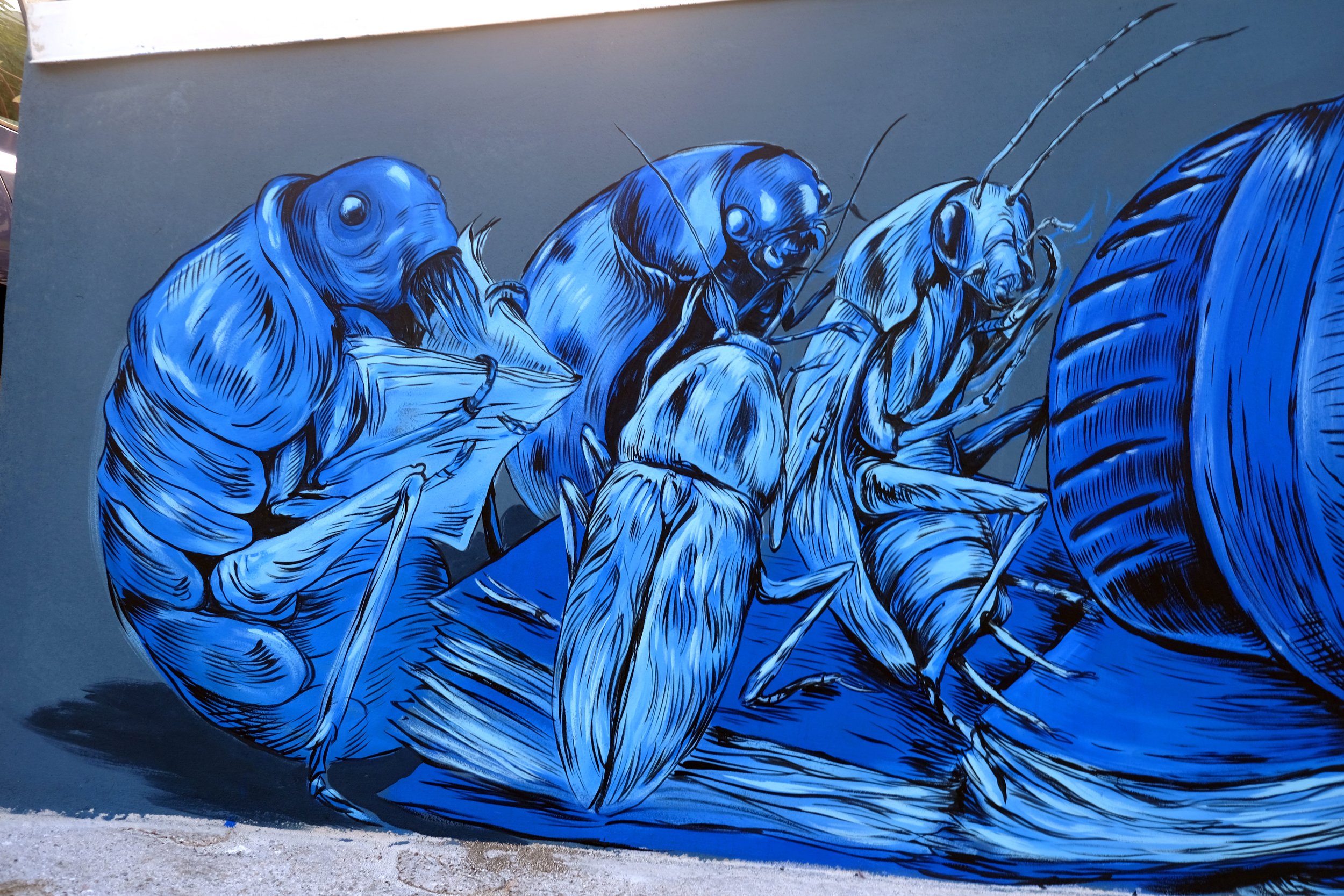 Pordenone [Zapata] 2023 - with Bastardilla