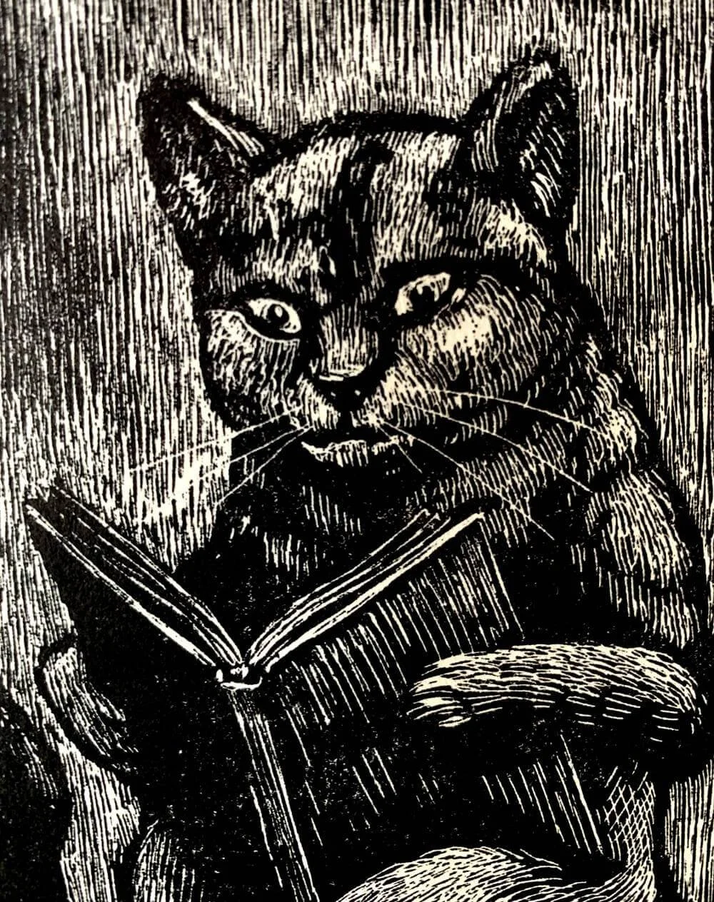 readingcat2_resize.jpg