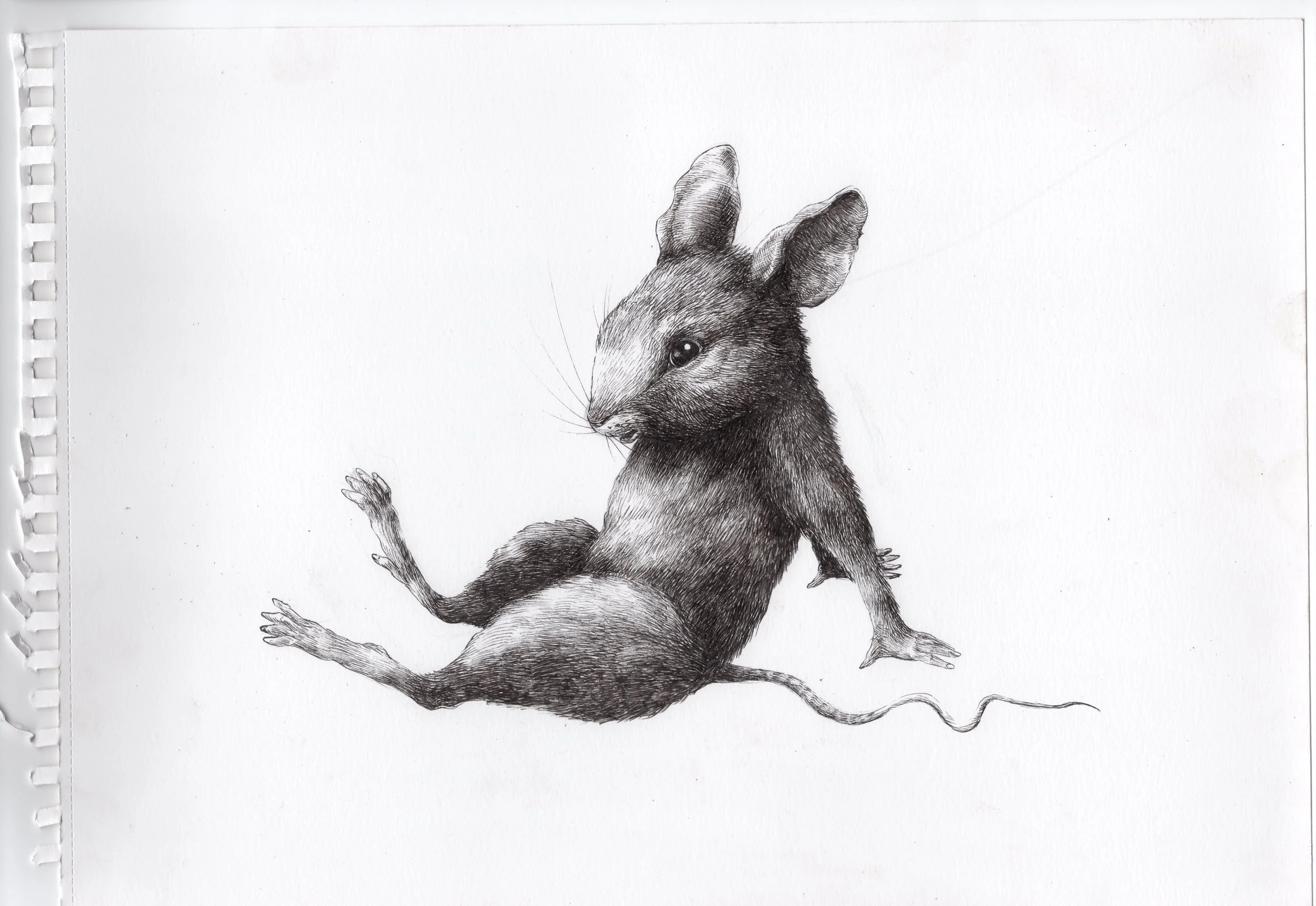 Copia de Documento escaneado 5.jpeg