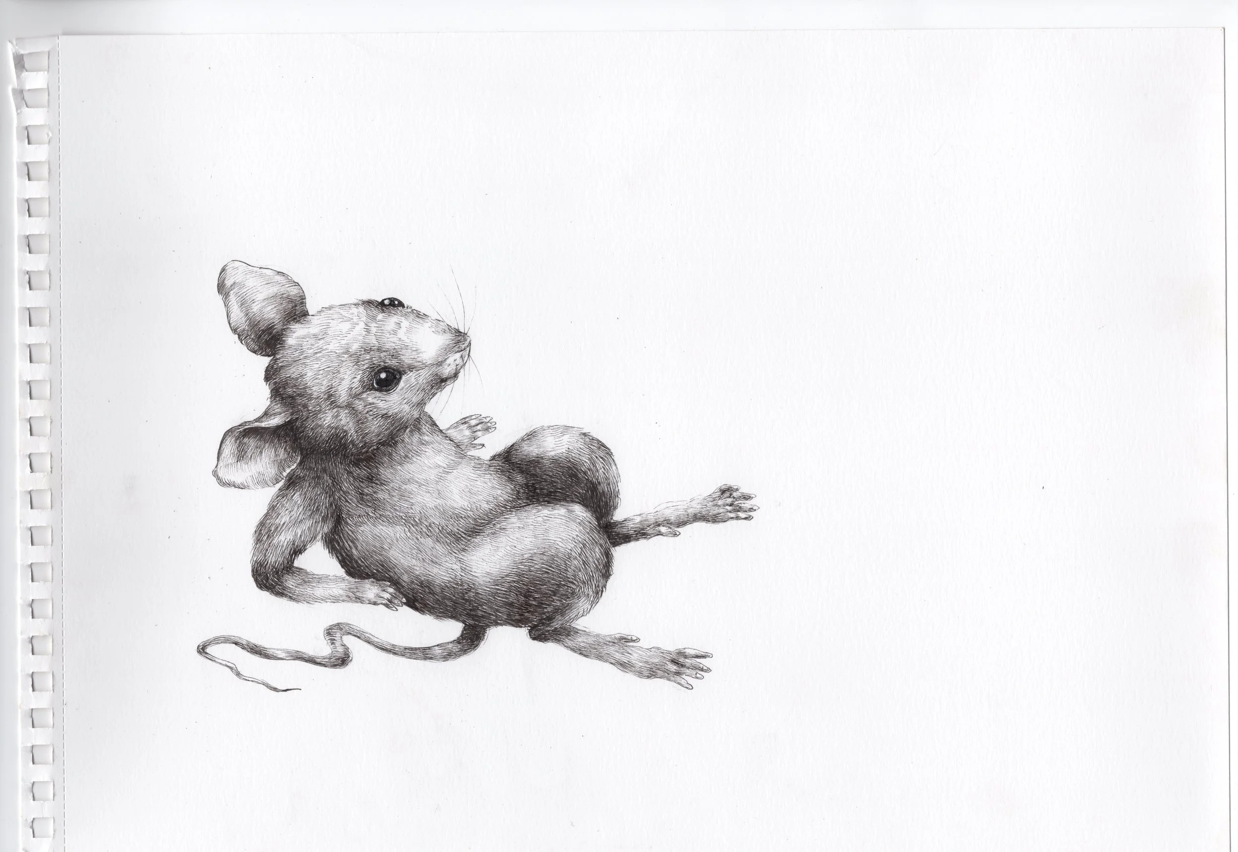 Copia de Documento escaneado 4.jpeg