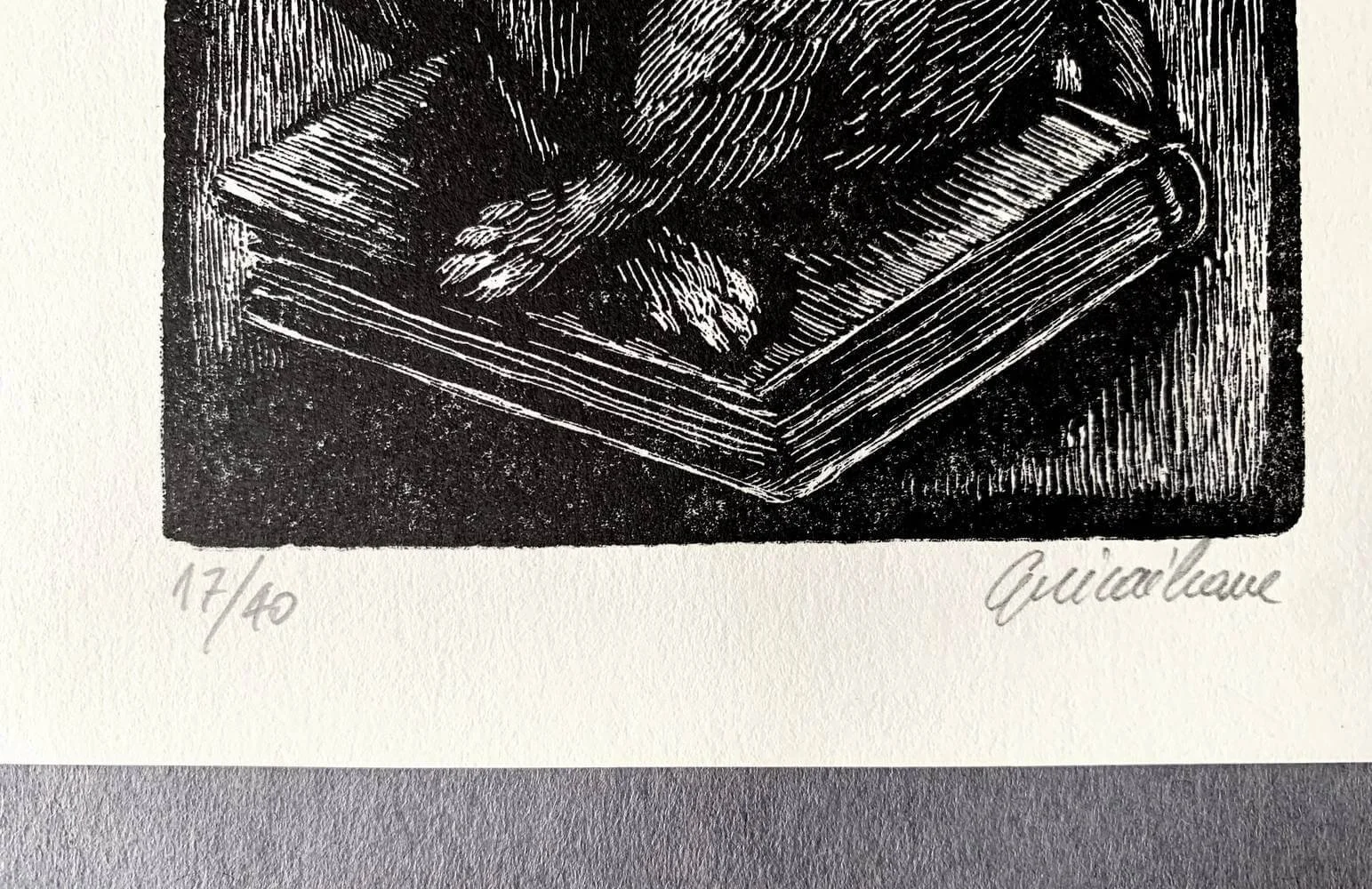 readingcat3_resize.jpg