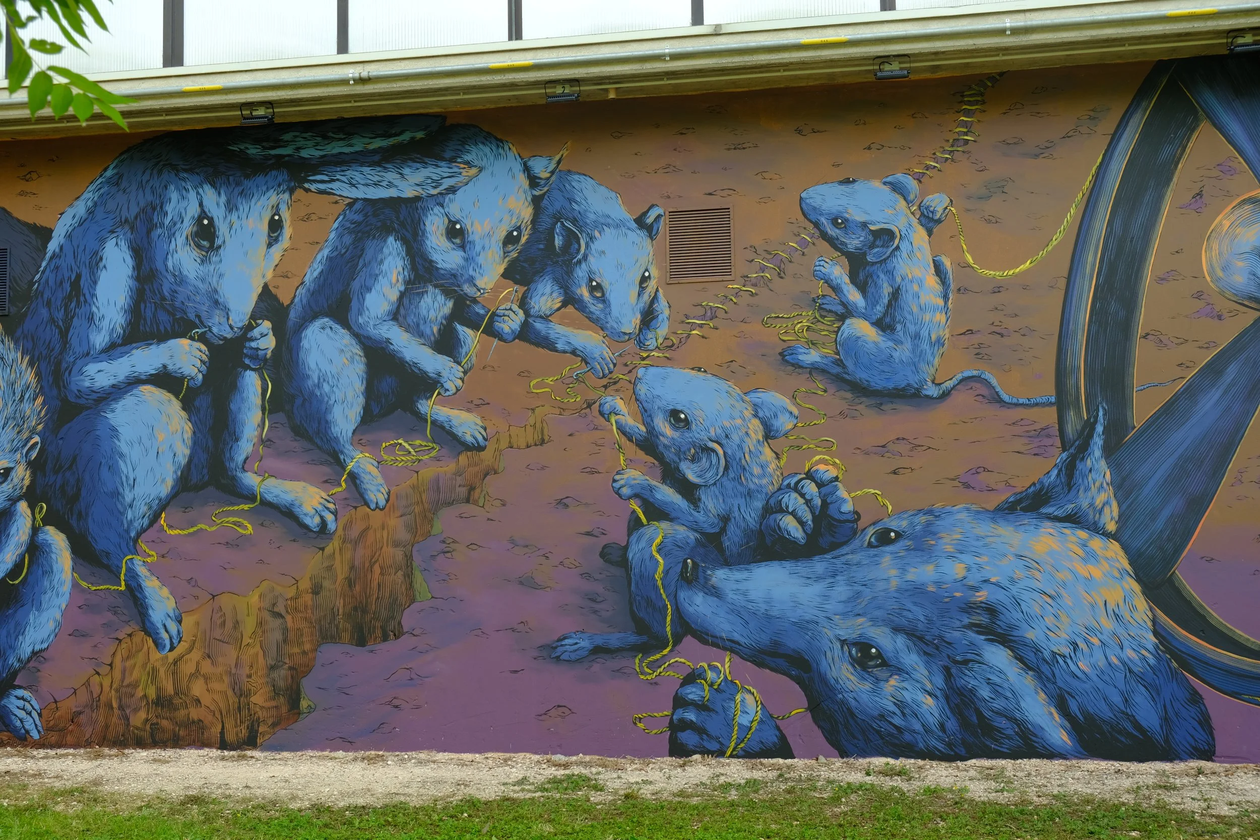 Medolla 2022 - with Bastardilla