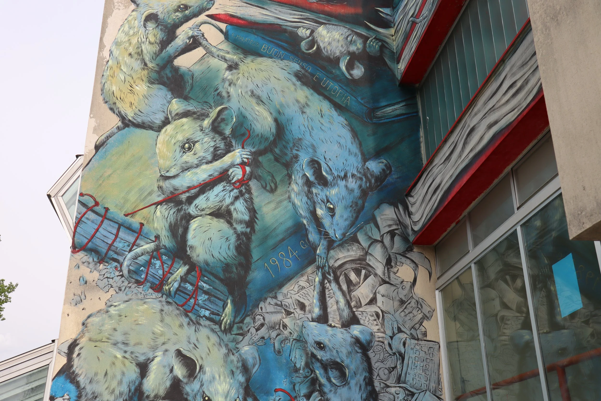 Belluno [Liceo Renier] 2023