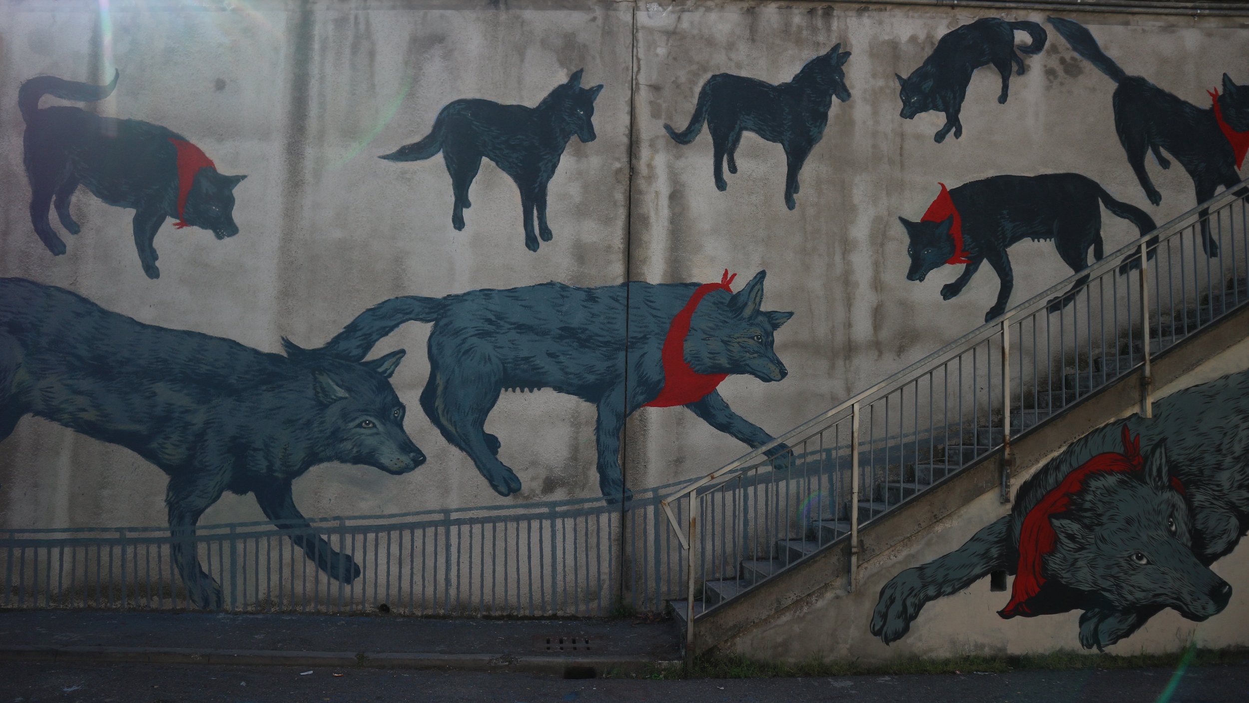 Alfonsine 2019 - with Bastardilla