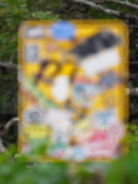 260105-street-signs.gif