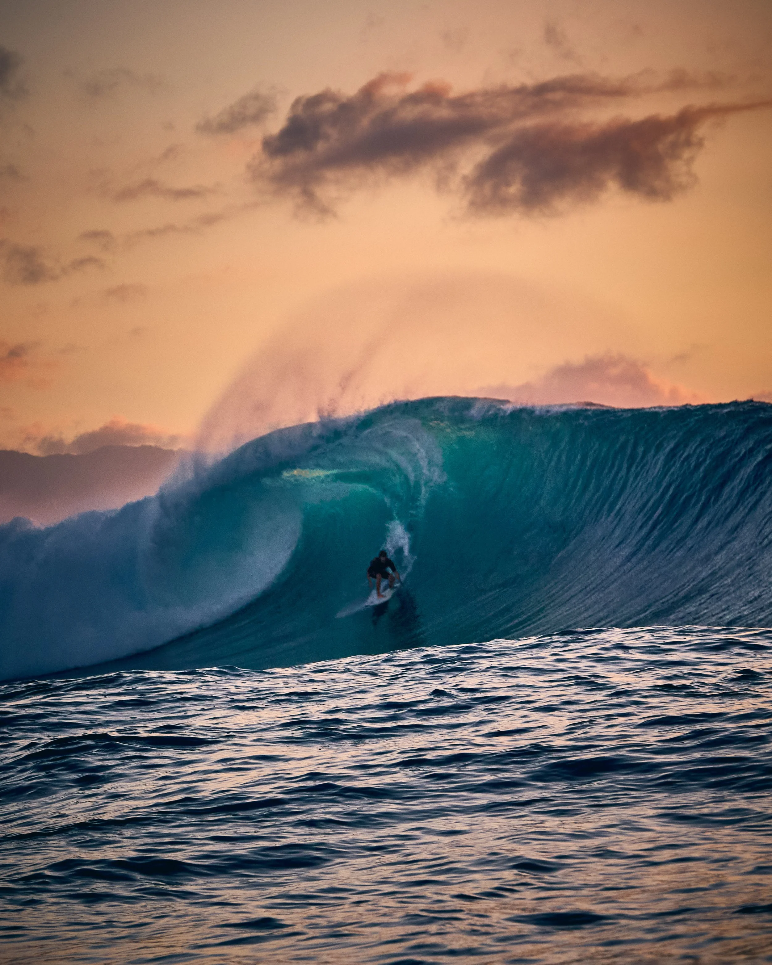 260131-MarianSell-Pipeline-0146 1.jpg