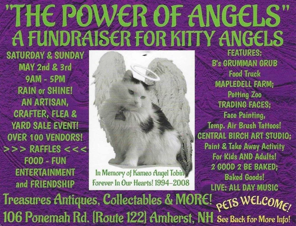 Power of Angels - Kitty Angels Fundraiser (Copy)