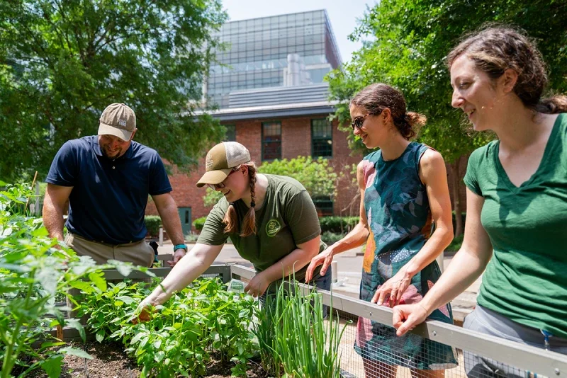 Four people inspecting plants in a garden or urban farm, with a modern building in the background and trees surrounding them.