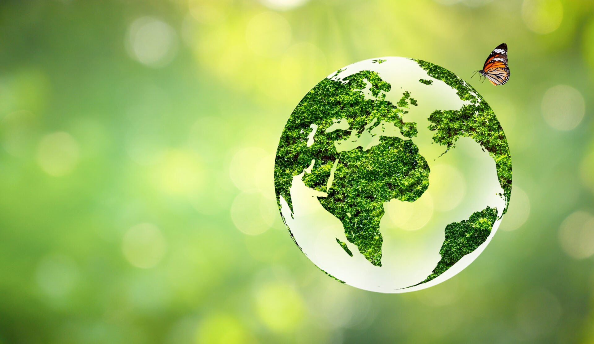 Sustainable Touring Resource Guide
