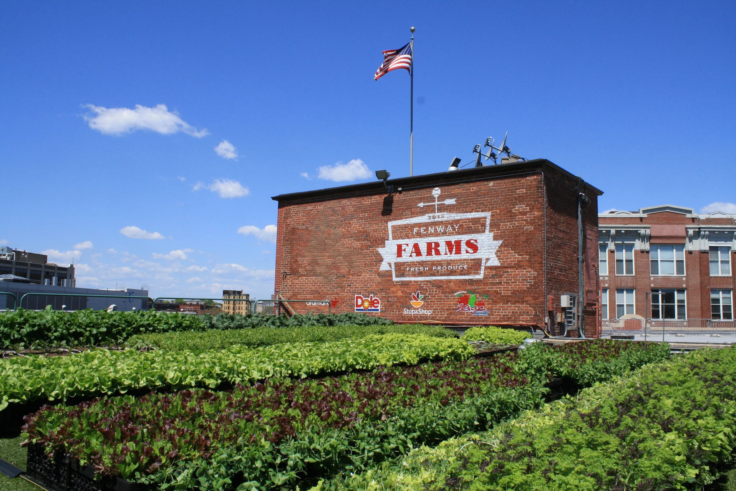 Rooftop farm with green lettuce and leafy vegetables in front of a brick building with a sign reading 'Farms' and logos of Dole, Stop & Shop, and Eagles. American flag flying above.