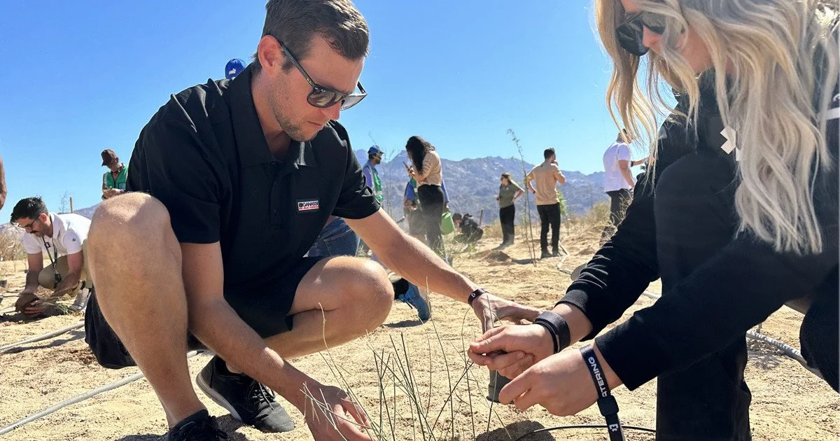 Two people crouching in the desert planting small desert plants or cacti, with others working in the background, under a clear blue sky.