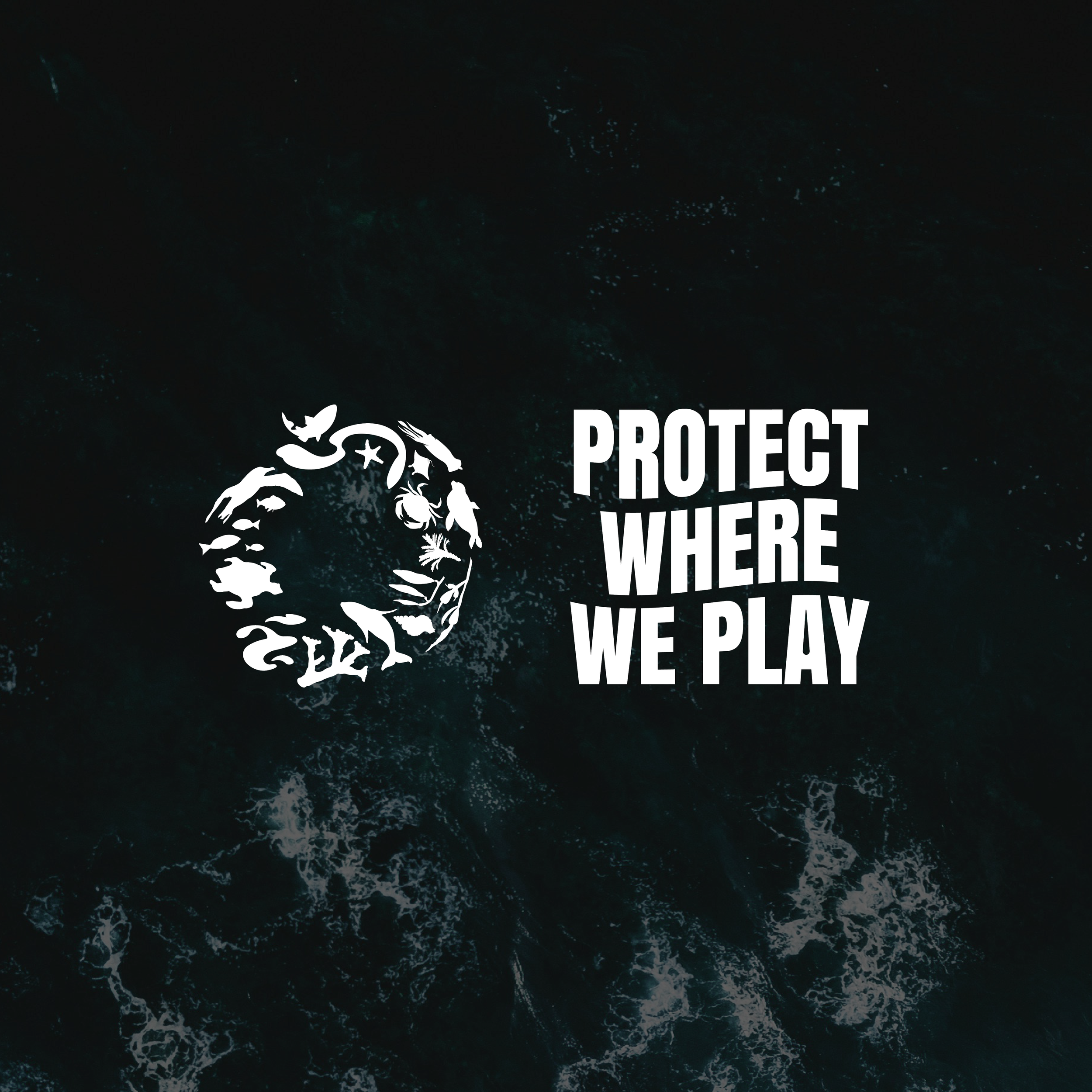 A dark ocean with a white circular graphic made of various marine and environmental symbols, and the text 'Protect Where We Play' beside it.