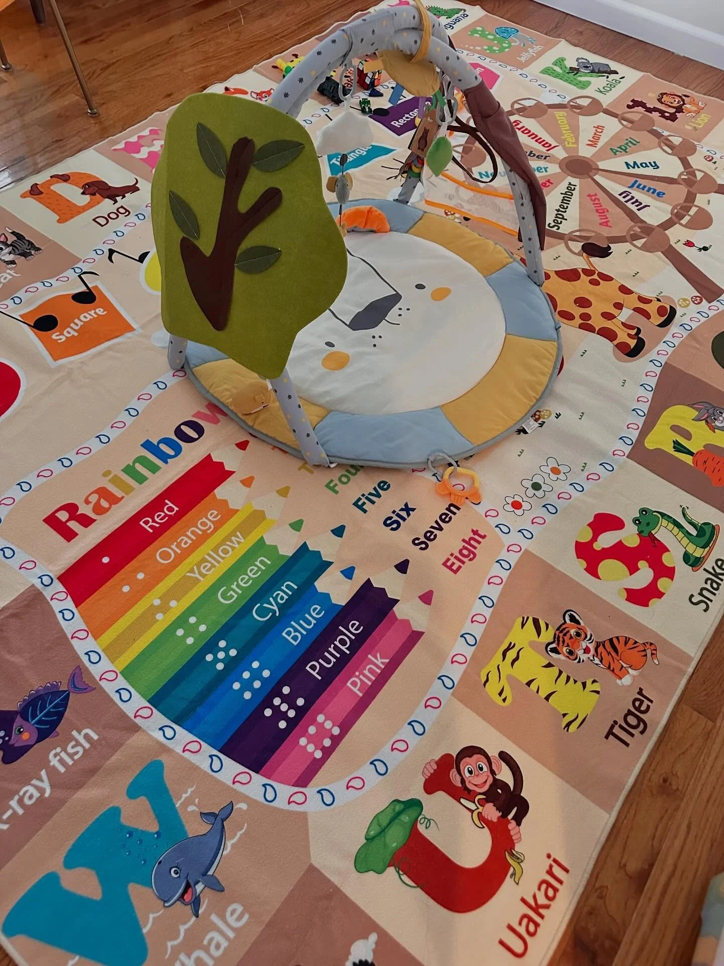 Welcome to Brightside Daycare 
Provider Hala Khalil 
Certified with 10 years + experience in childcare 
CPR first aid certified with the American Heart Association 
15 hours Health and safety certification through childcare council of Westchester