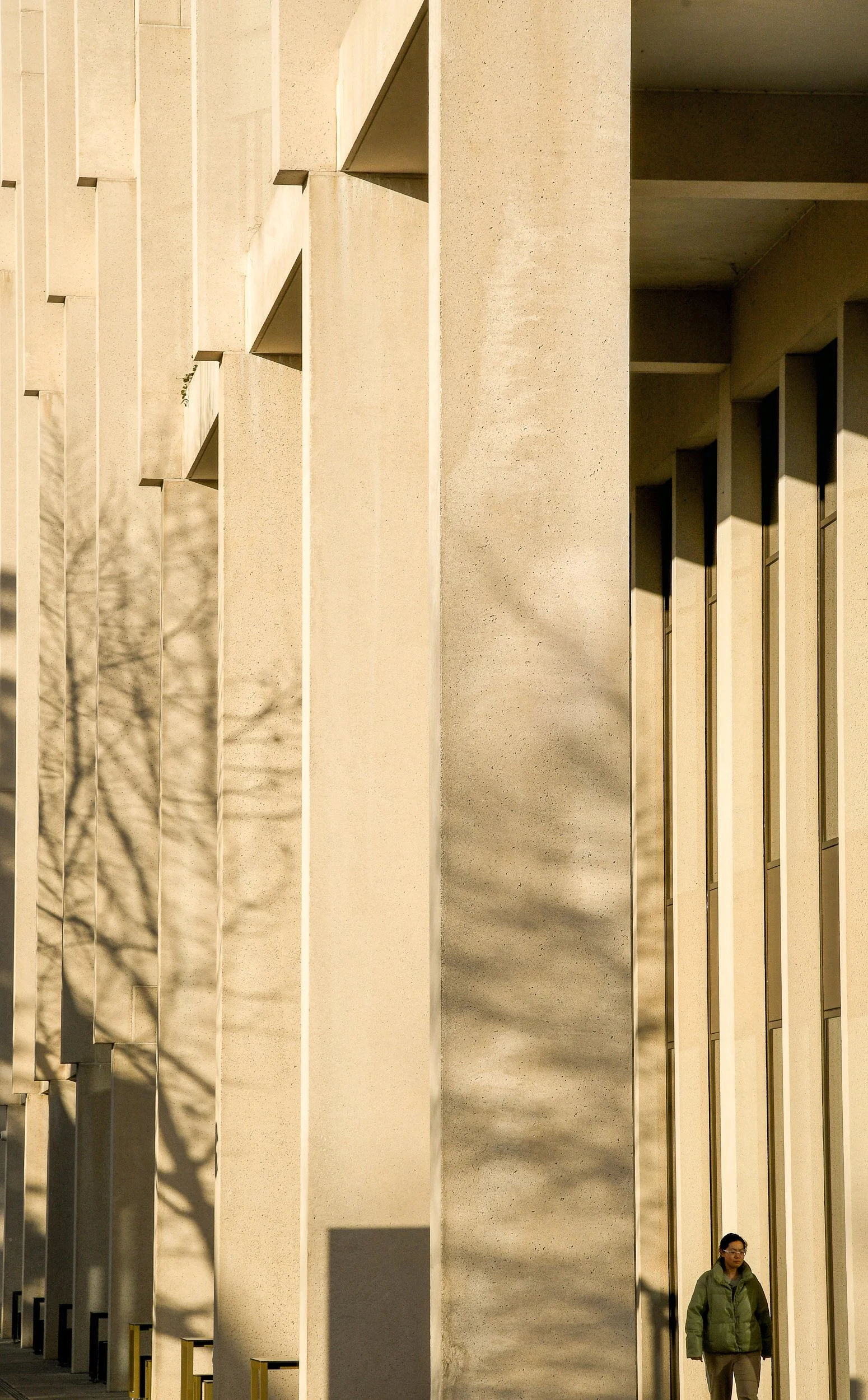 Women waking through Columns of the Town House Library by Grafton Architects for Kingston University