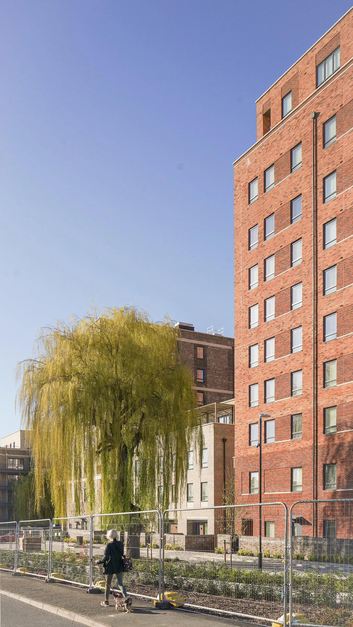 Cambridge Road Estate Redevelopment, Countryside, Patel Taylor 2.jpg