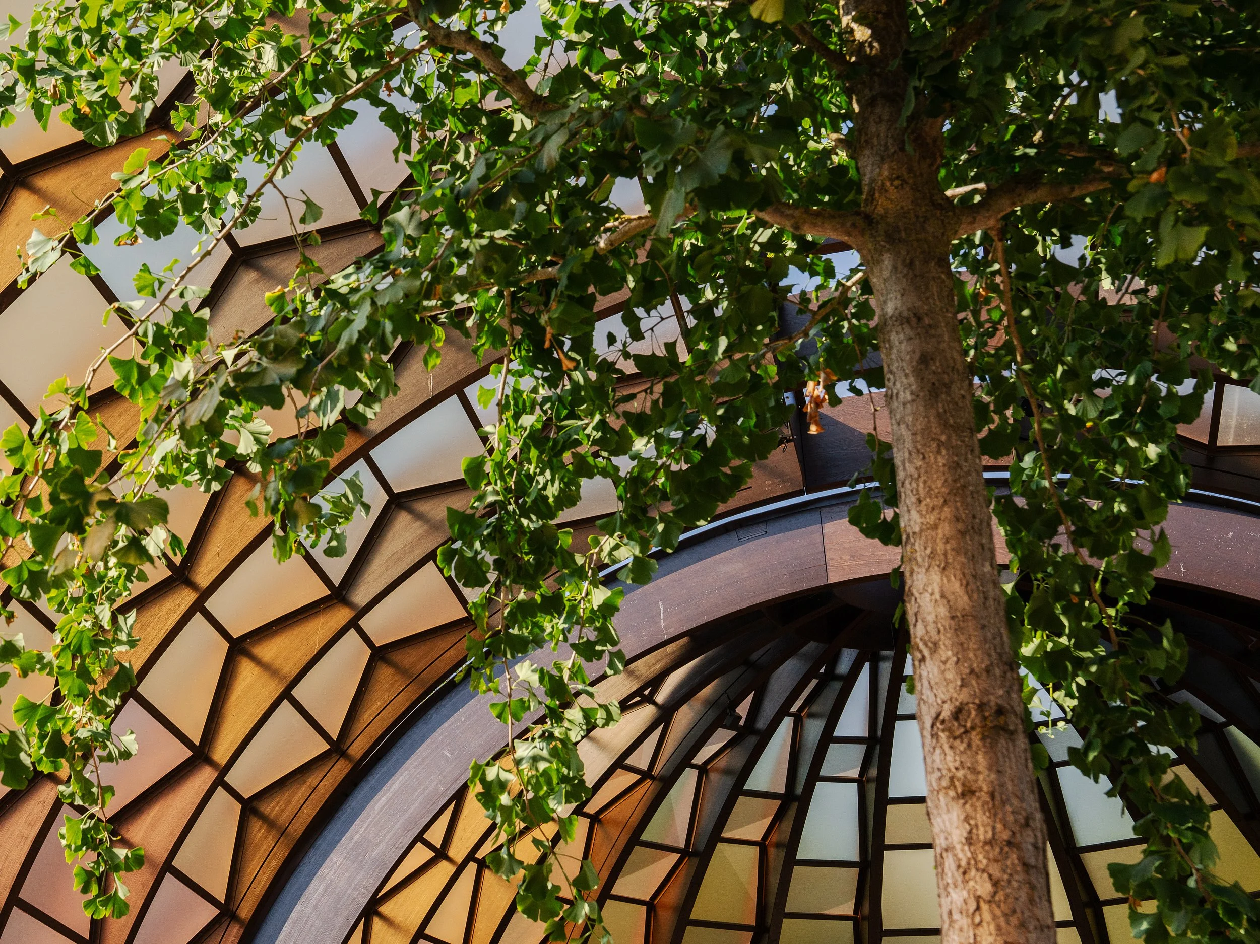 Serpentine Pavillion, Summer 2025, Marina Tabassum 8.jpg