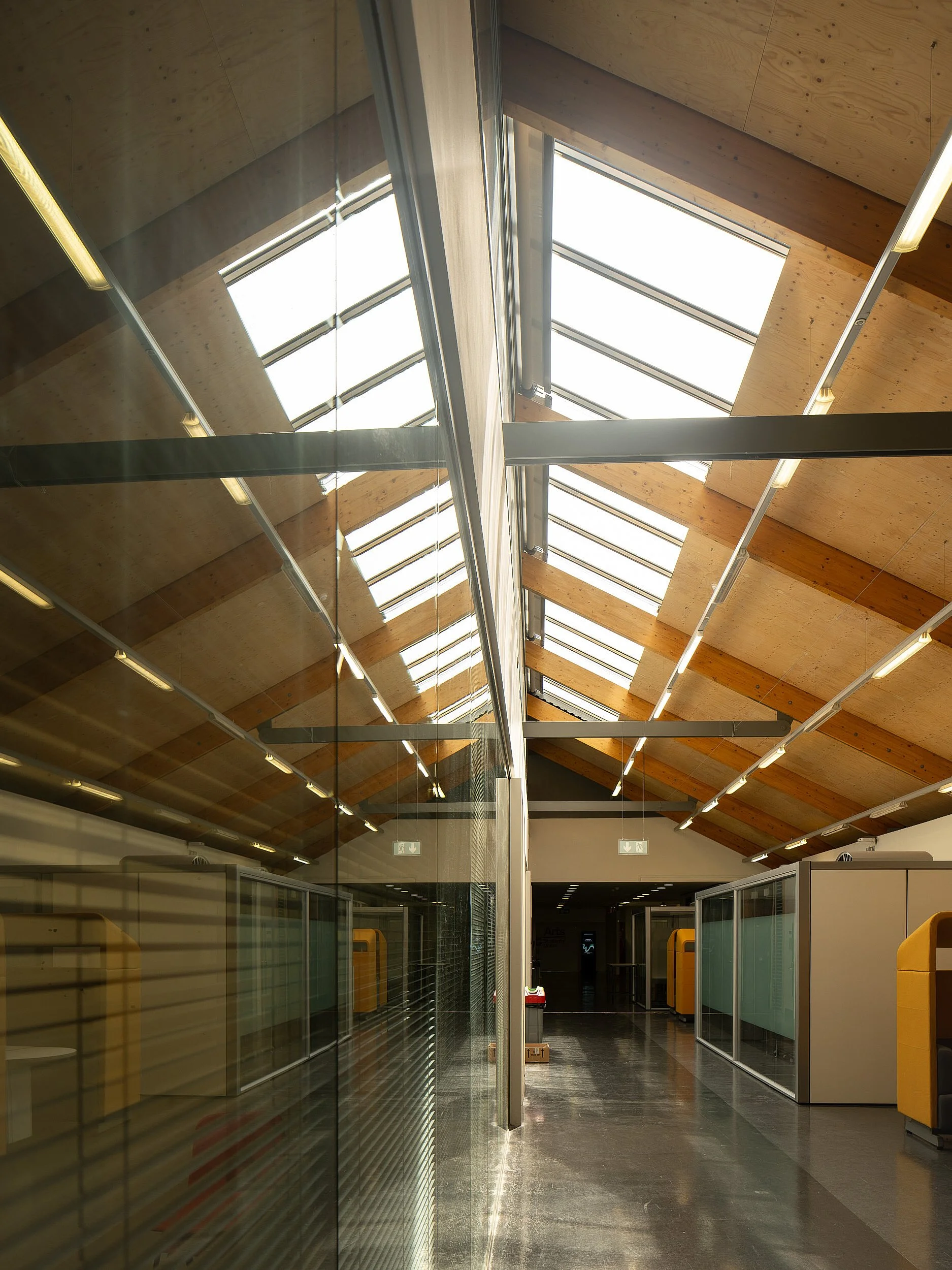 Interior view of a modern office with glass walls, studded wooden ceilings, and skylights allowing natural light to illuminate the space.