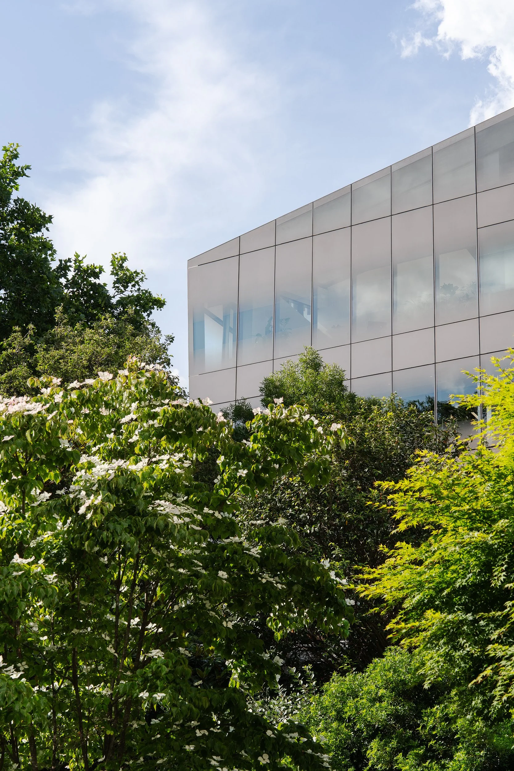 Modern glass building partly hidden by lush green trees under a partly cloudy sky.