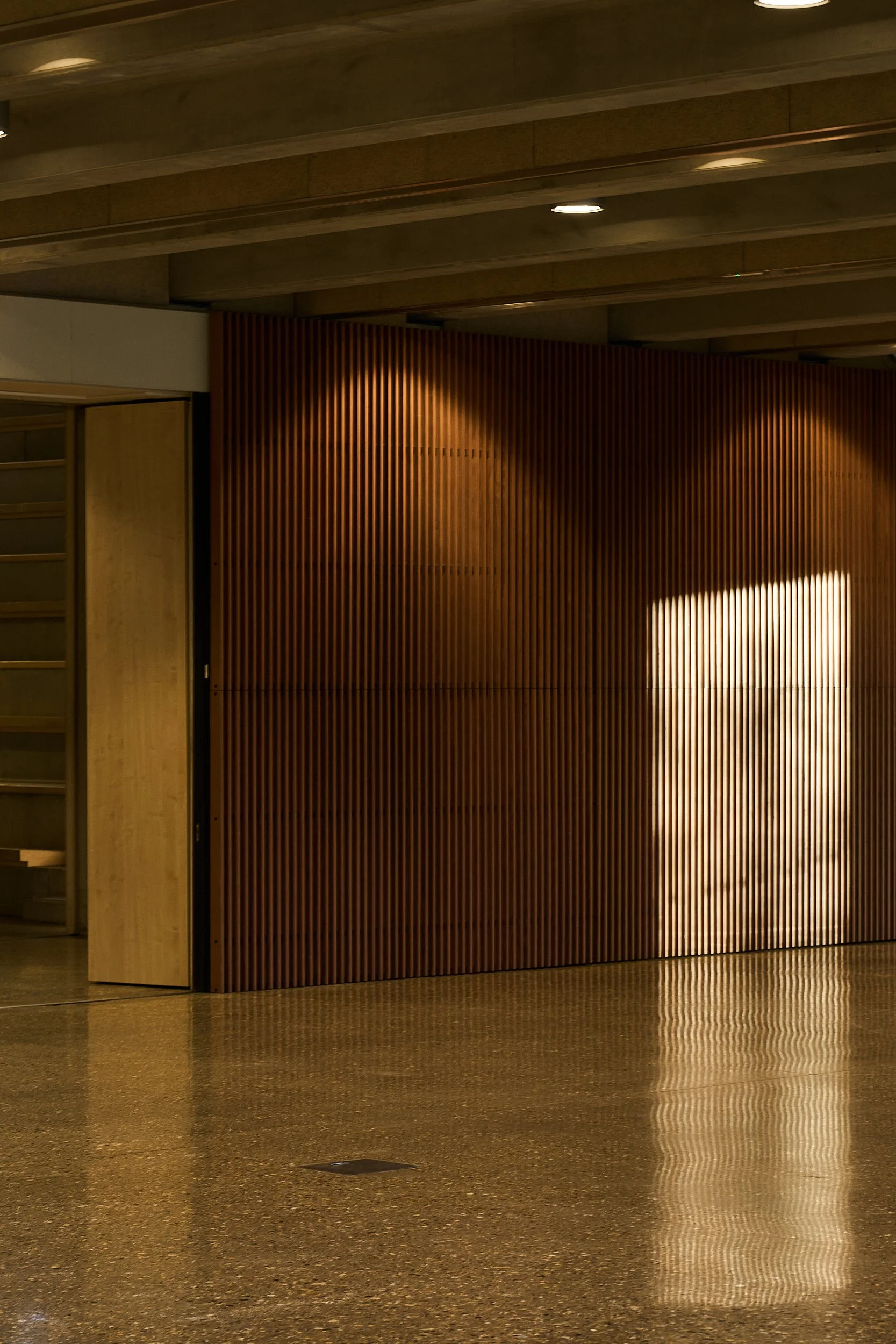 Town House Library, Kingston Upon - Thames, Grafton Architects 11.jpg