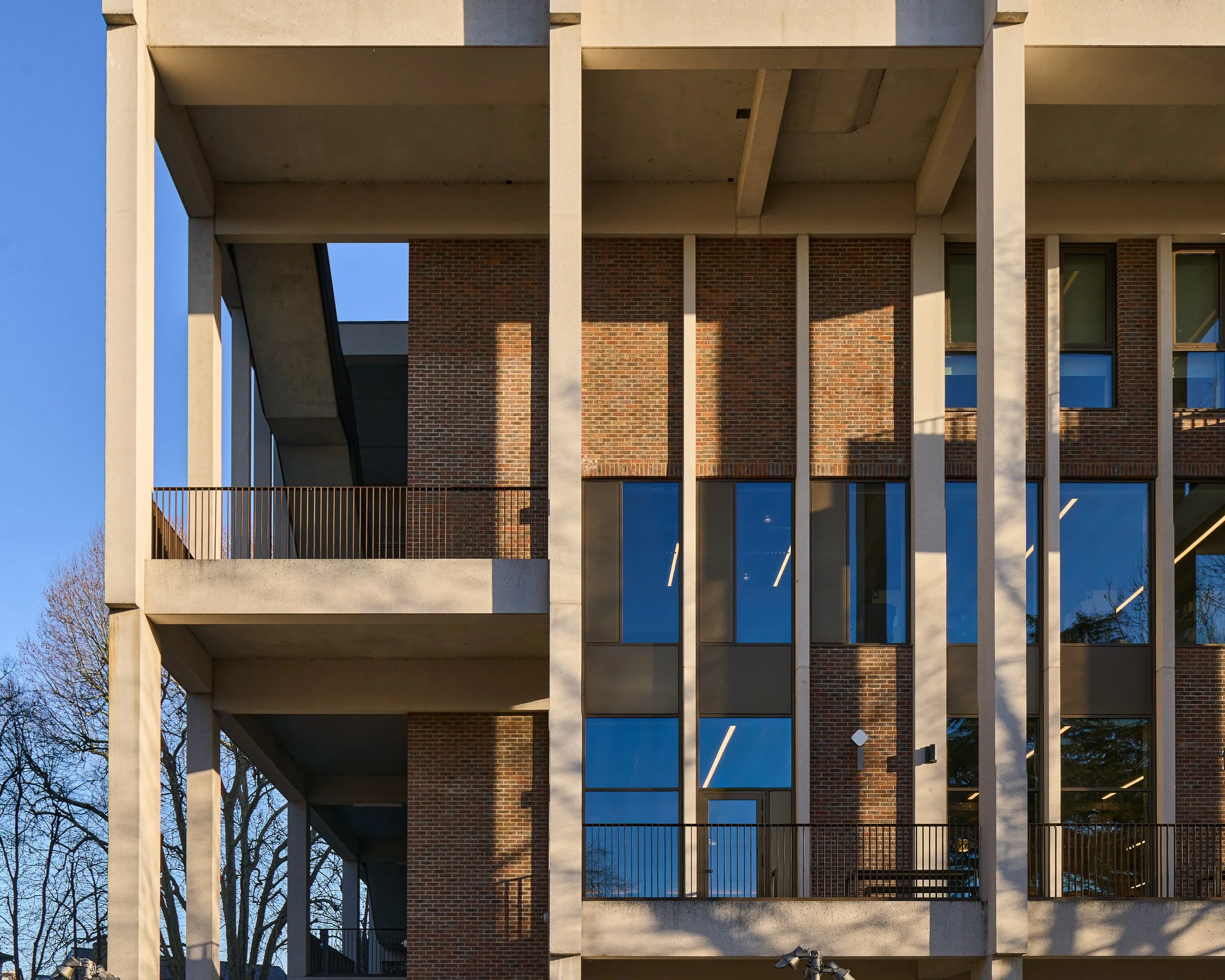 Town House Library, Kingston Upon - Thames, Grafton Architects 14.jpg