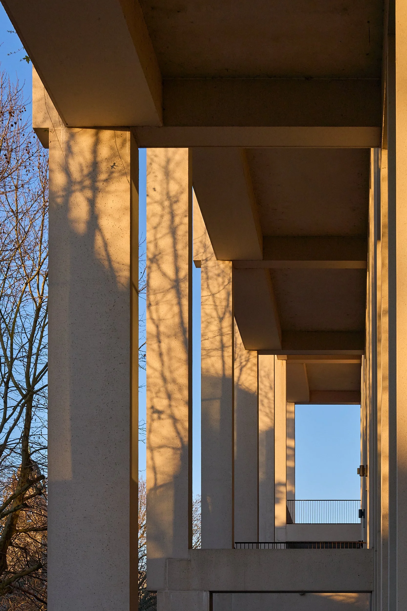 Town House Library, Kingston Upon - Thames, Grafton Architects 13.jpg