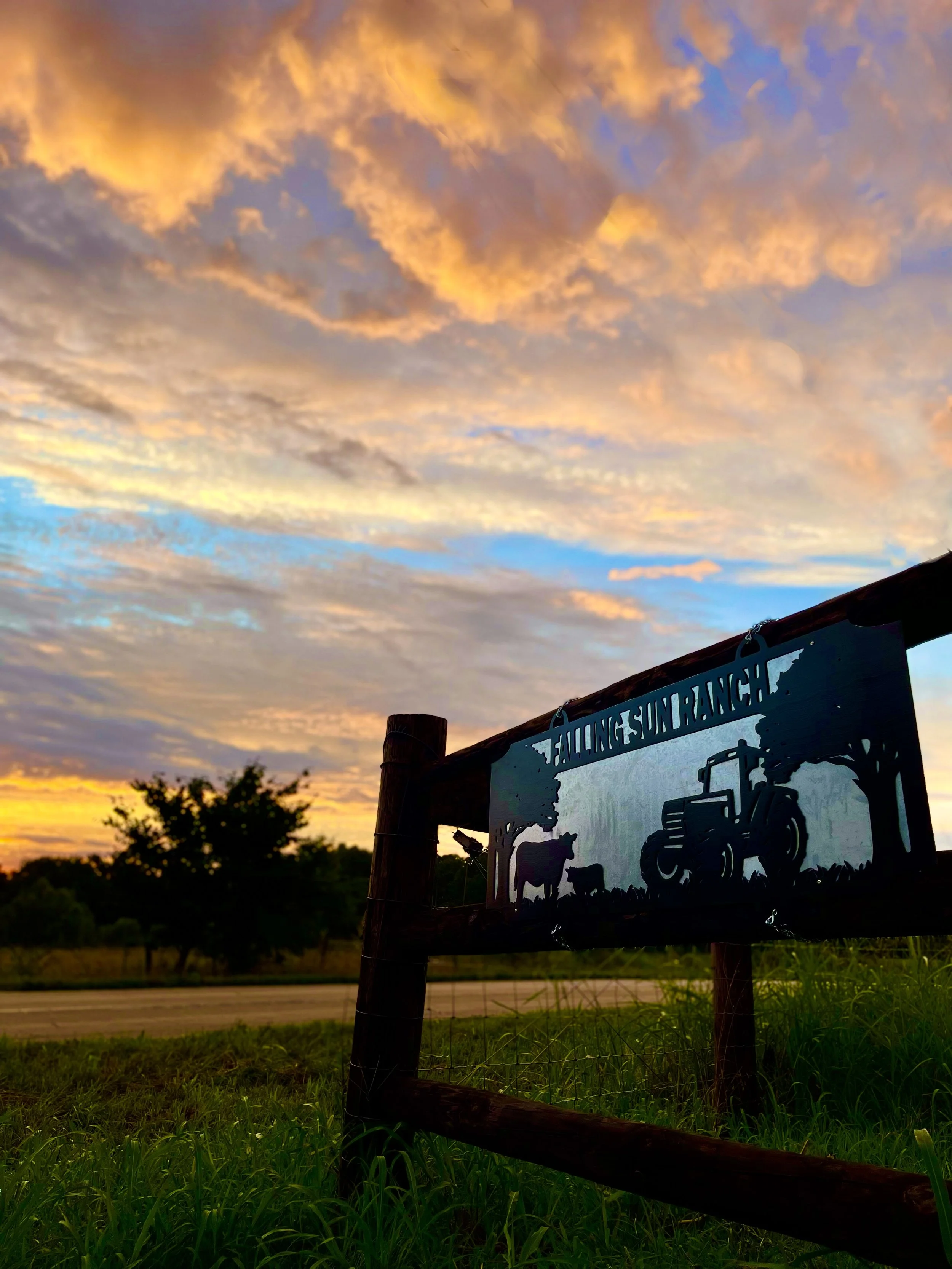 Falling Sun Ranch photo 8