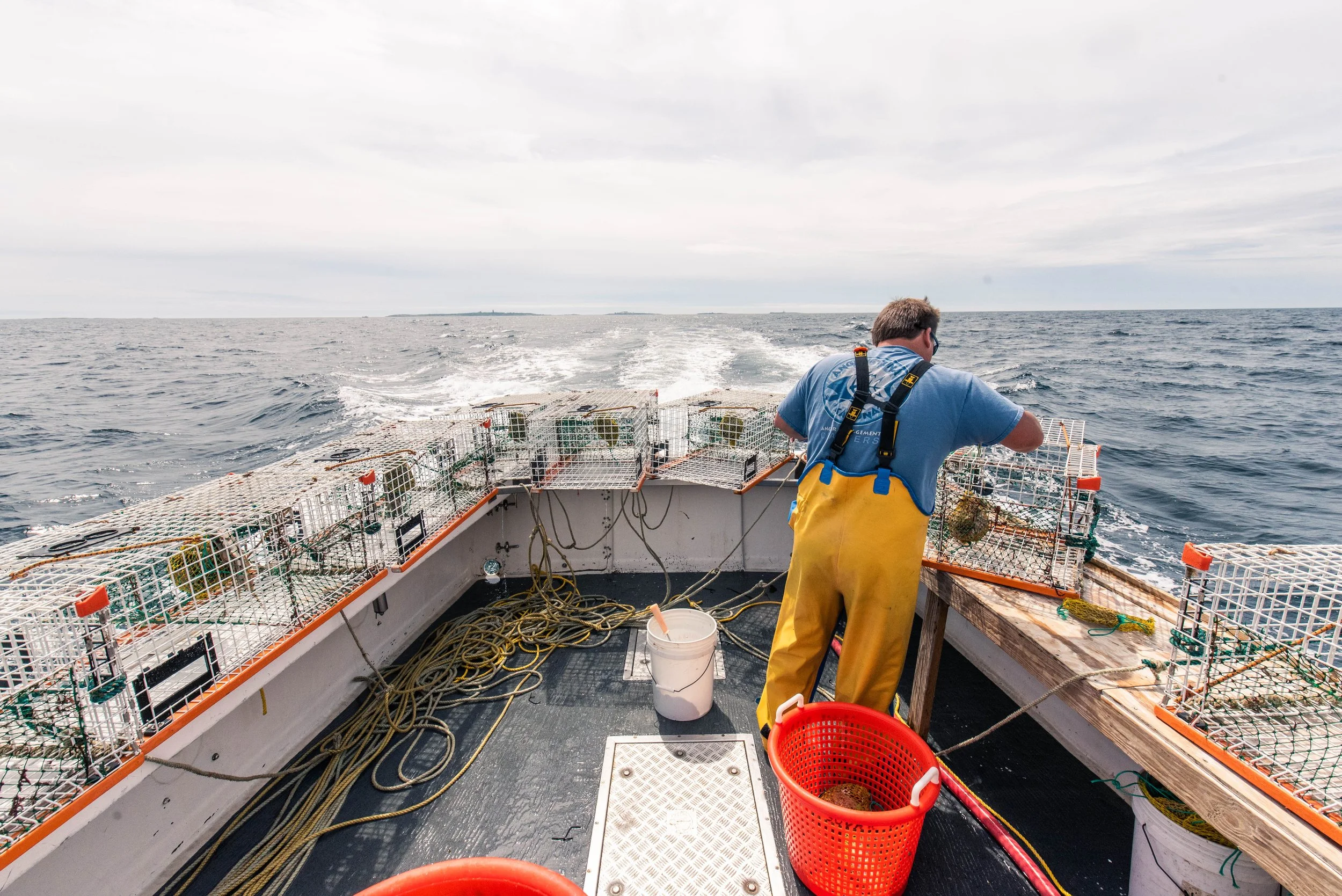 A sternman on a lobster boat tends to traps lined up on the rails of the boat