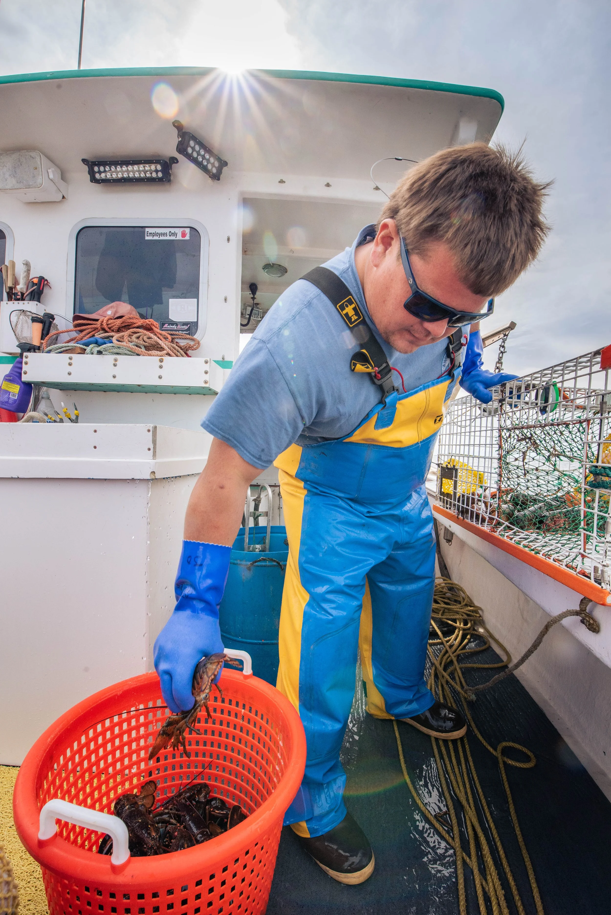 A lobsterman on a lobster boat bends down to place a lobster from a trap into a tote