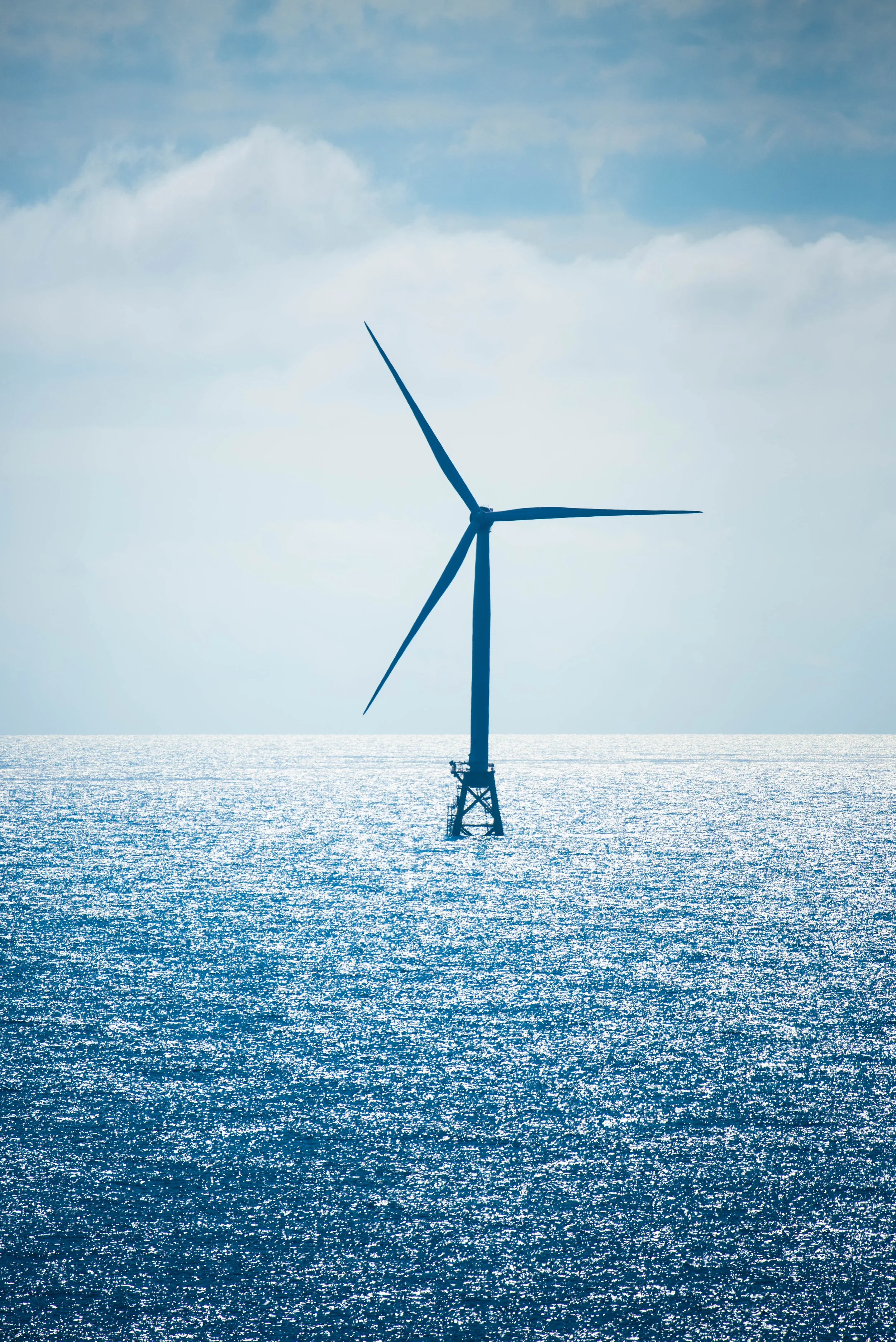Fisheries and Offshore Wind Interactions RFP - 2024