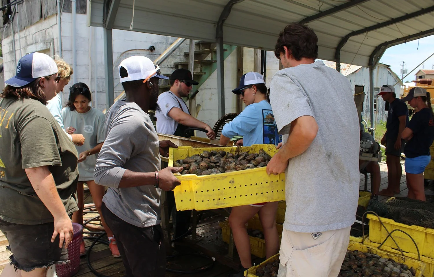 SeafoodSource Op-ed: From docks to dinner plates, Sea Grant delivers real value for working waterfronts