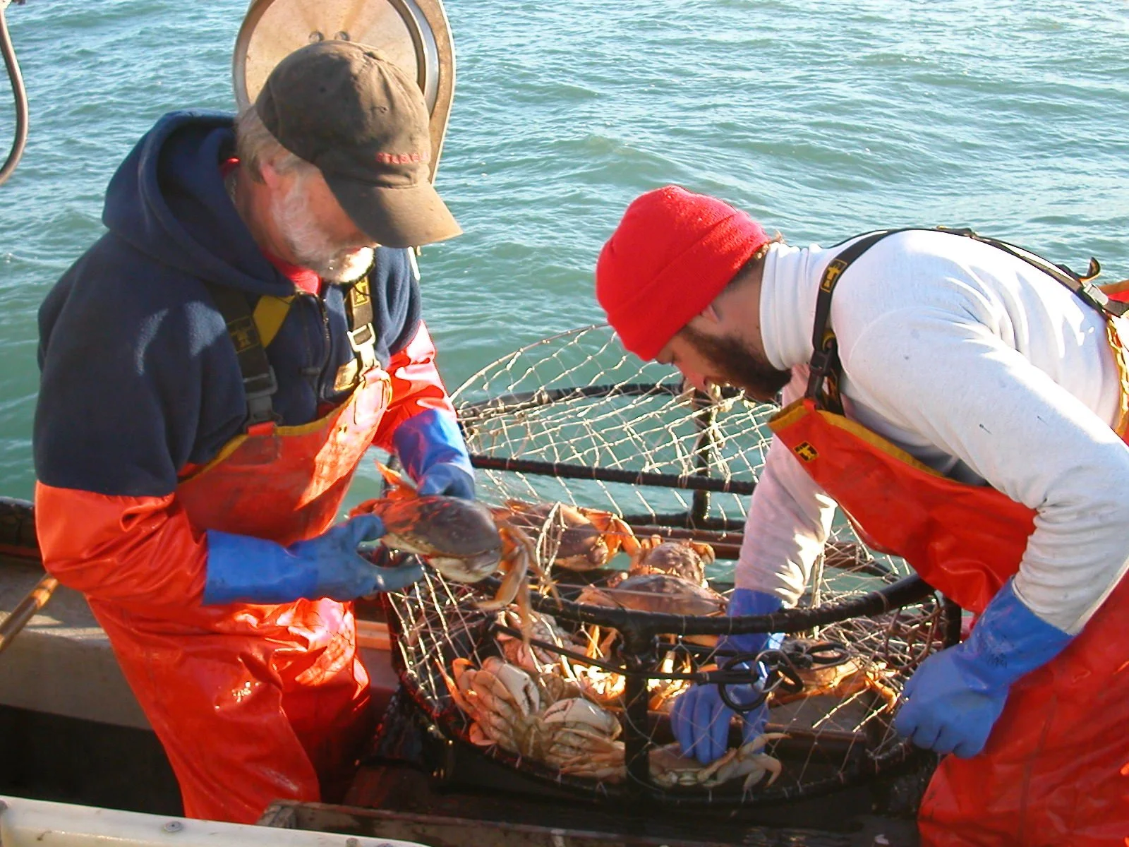 Discover West Coast Seafood One Bite at a Time