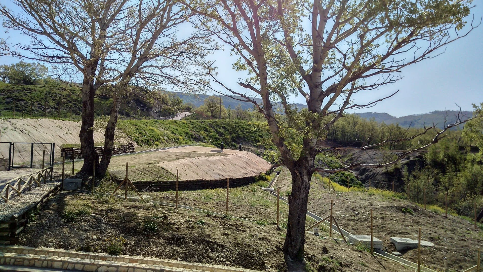 Paesaggio naturale con alberi, strade e montagne in lontananza
