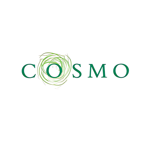 Logo con il testo 'COSMO' e un disegno stilizzato di un vortice verde intorno alla lettera 'O'.
