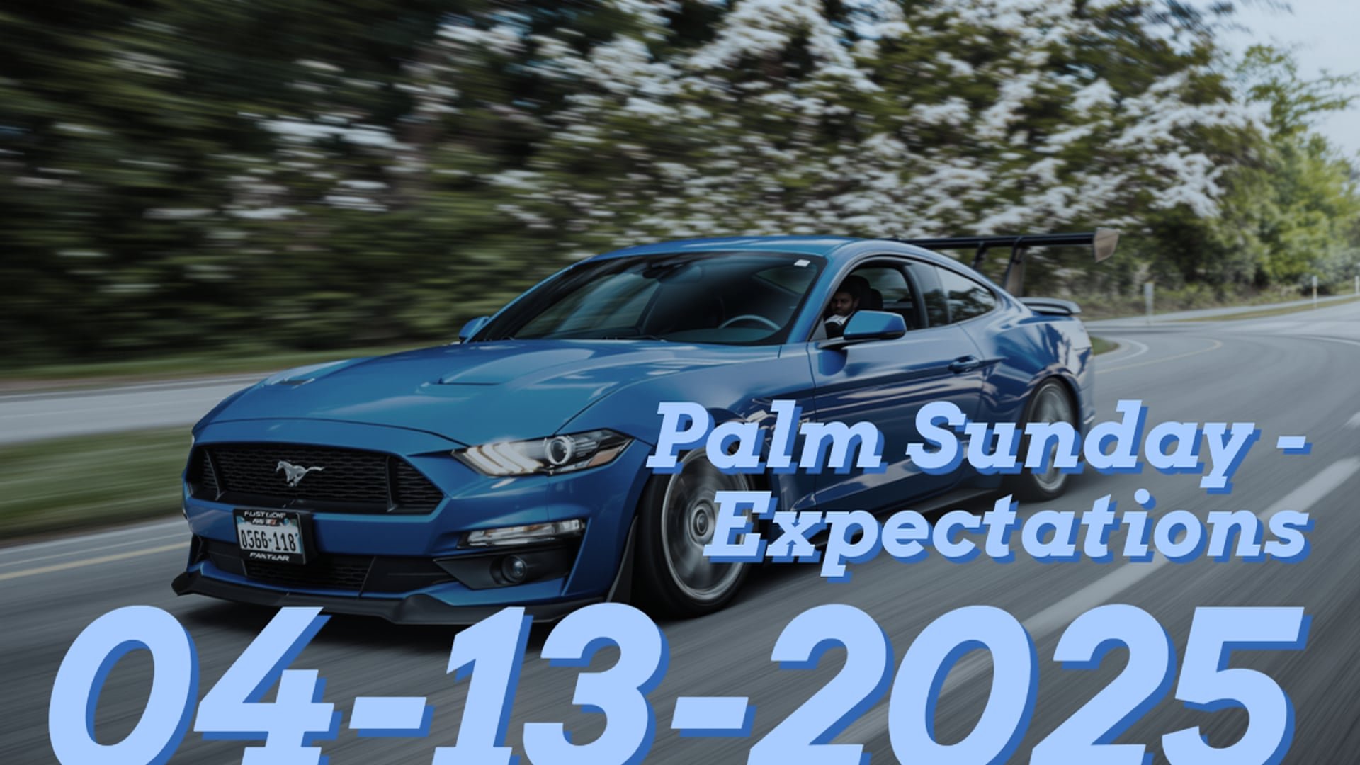 Palm Sunday - Expectations