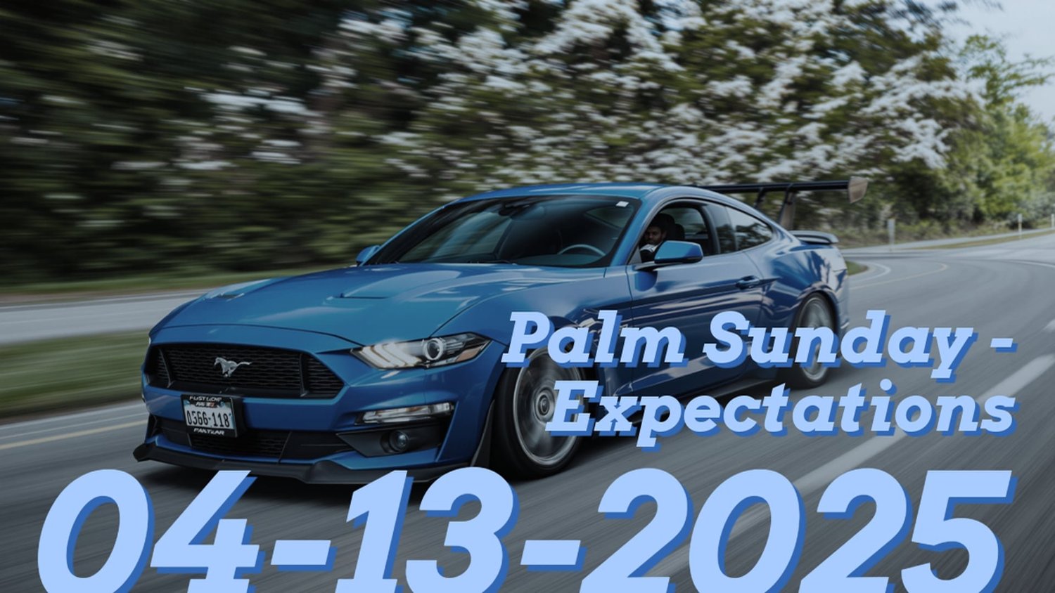 Palm Sunday - Expectations episode artwork