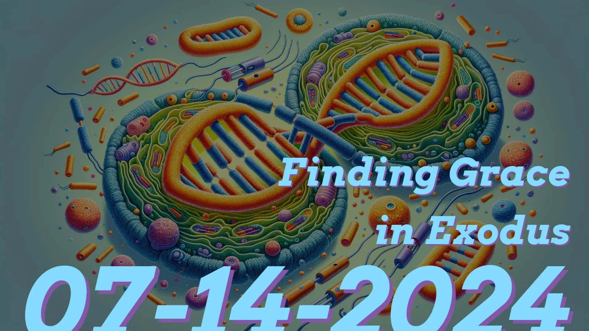 Finding Grace in Exodus