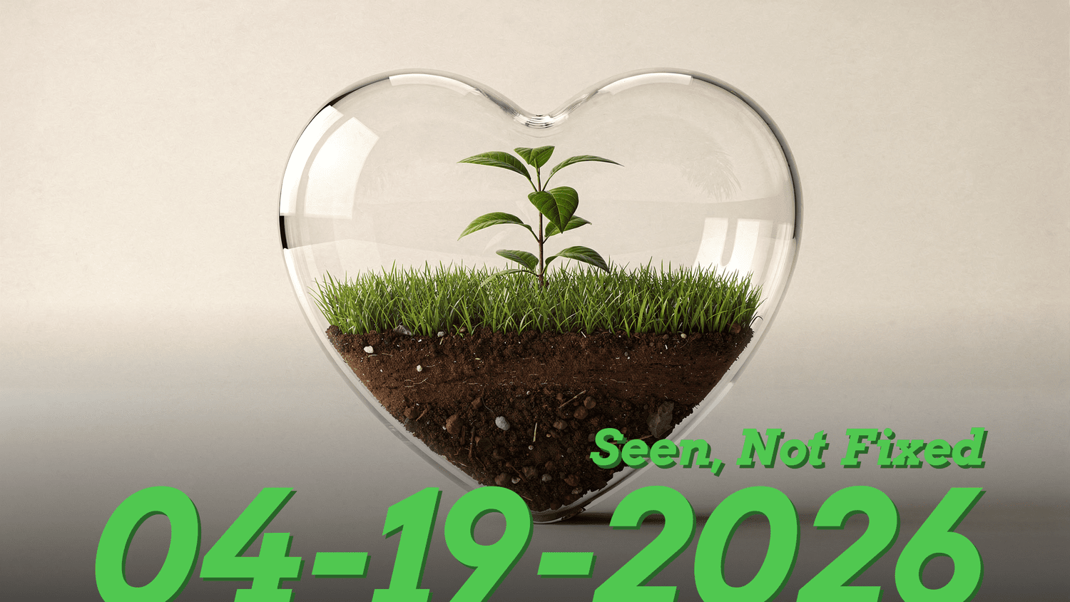 Seen, Not Fixed episode artwork