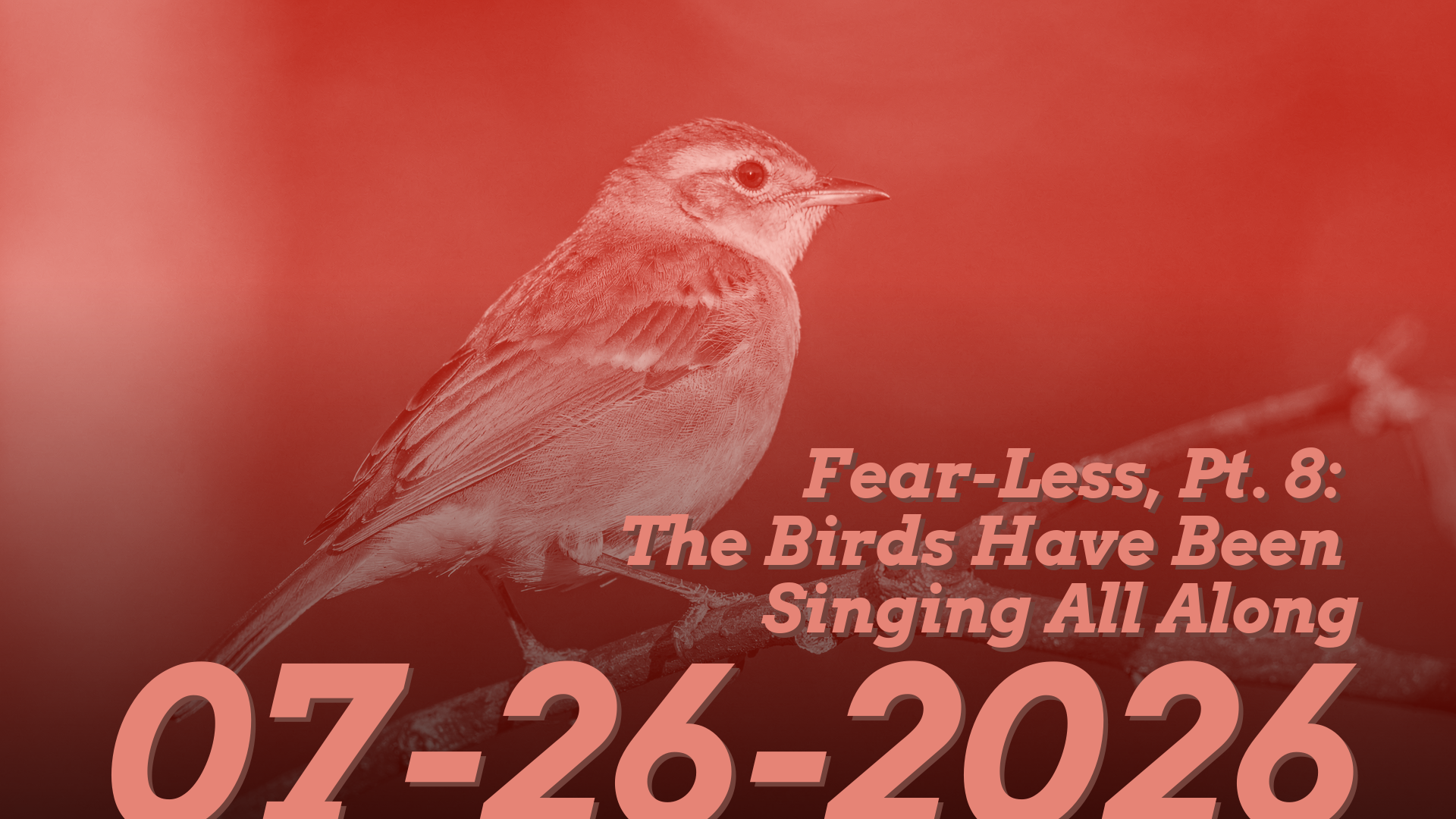 Fear-Less, Pt. 8: The Birds Have Been Singing All Along