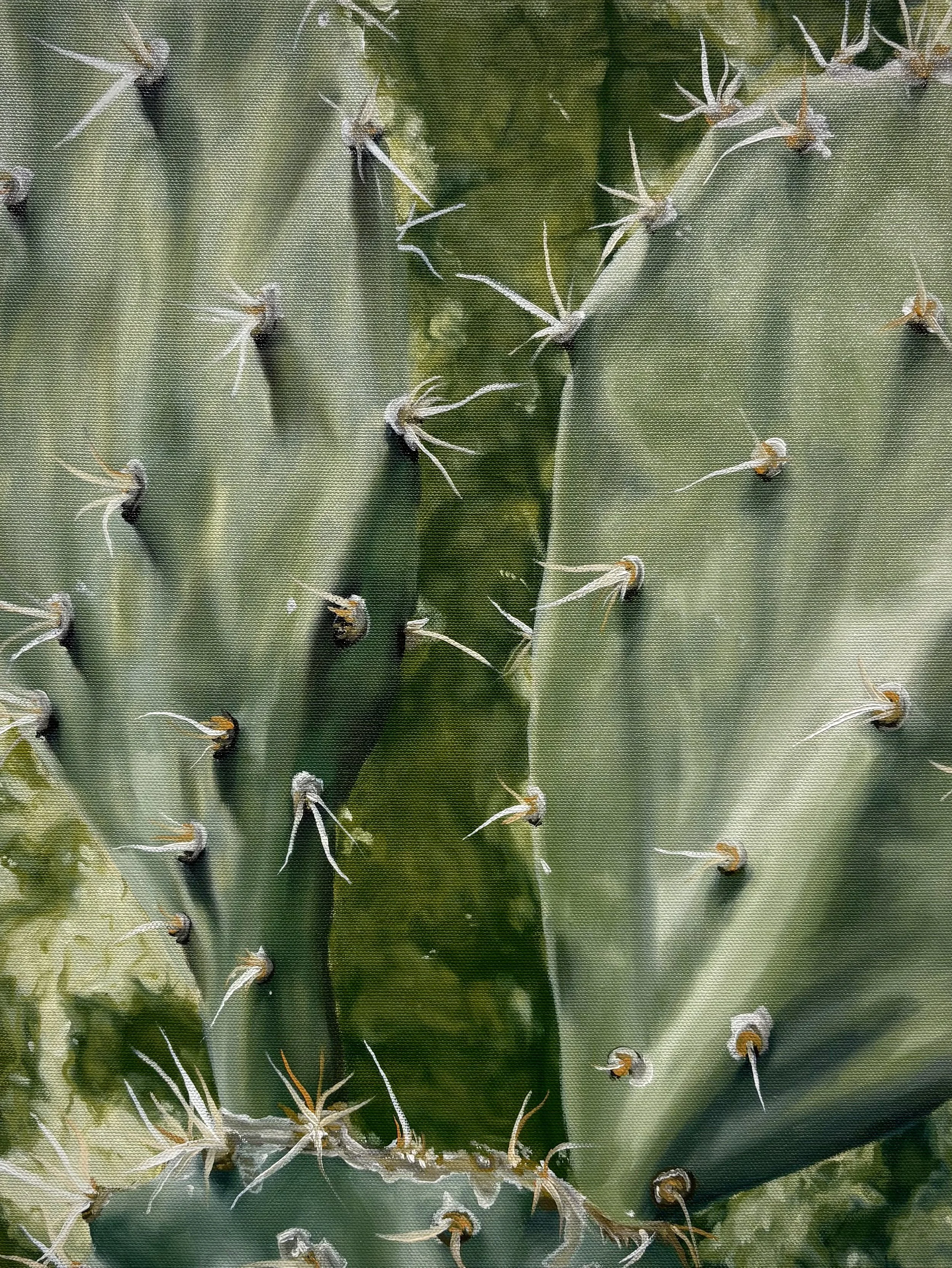 Sweet Watermelon, Sharp Cactus (SOLD)