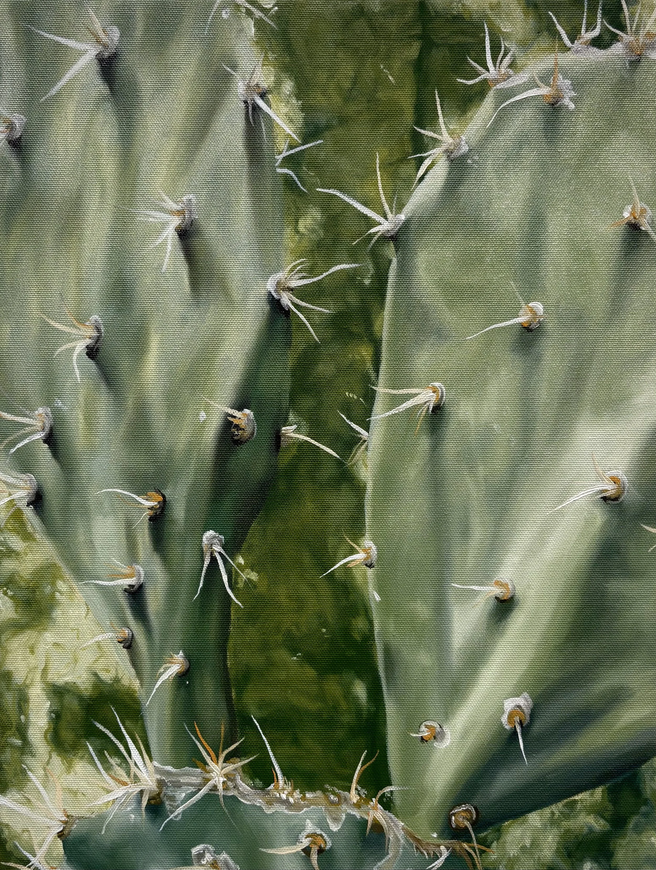 Sweet Like a Watermelon, Sharp Like a Cactus, oil on canvas, 12”x16”​, 2025
