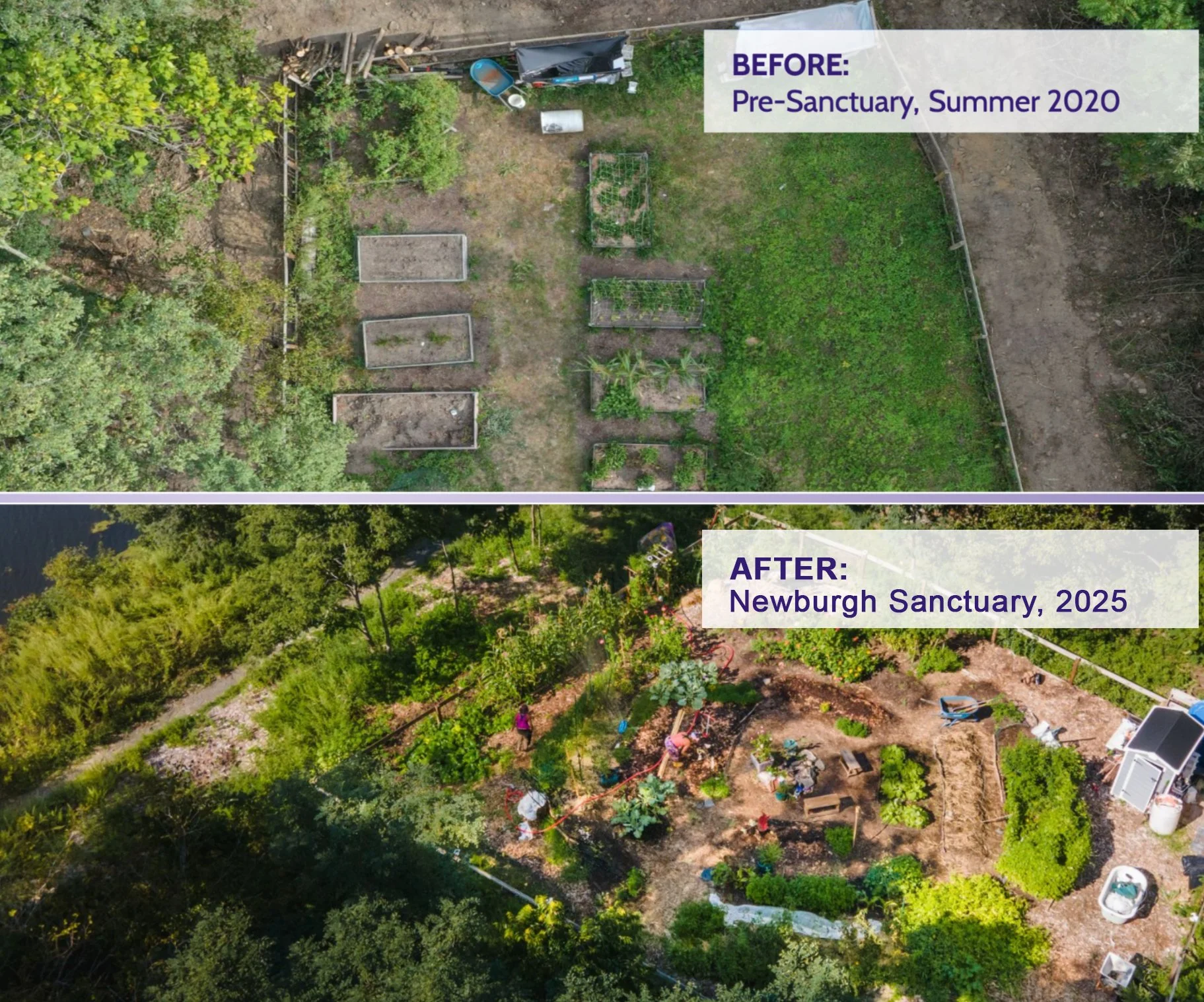 Celebrating 5 Years of Impact at the Newburgh Sanctuary