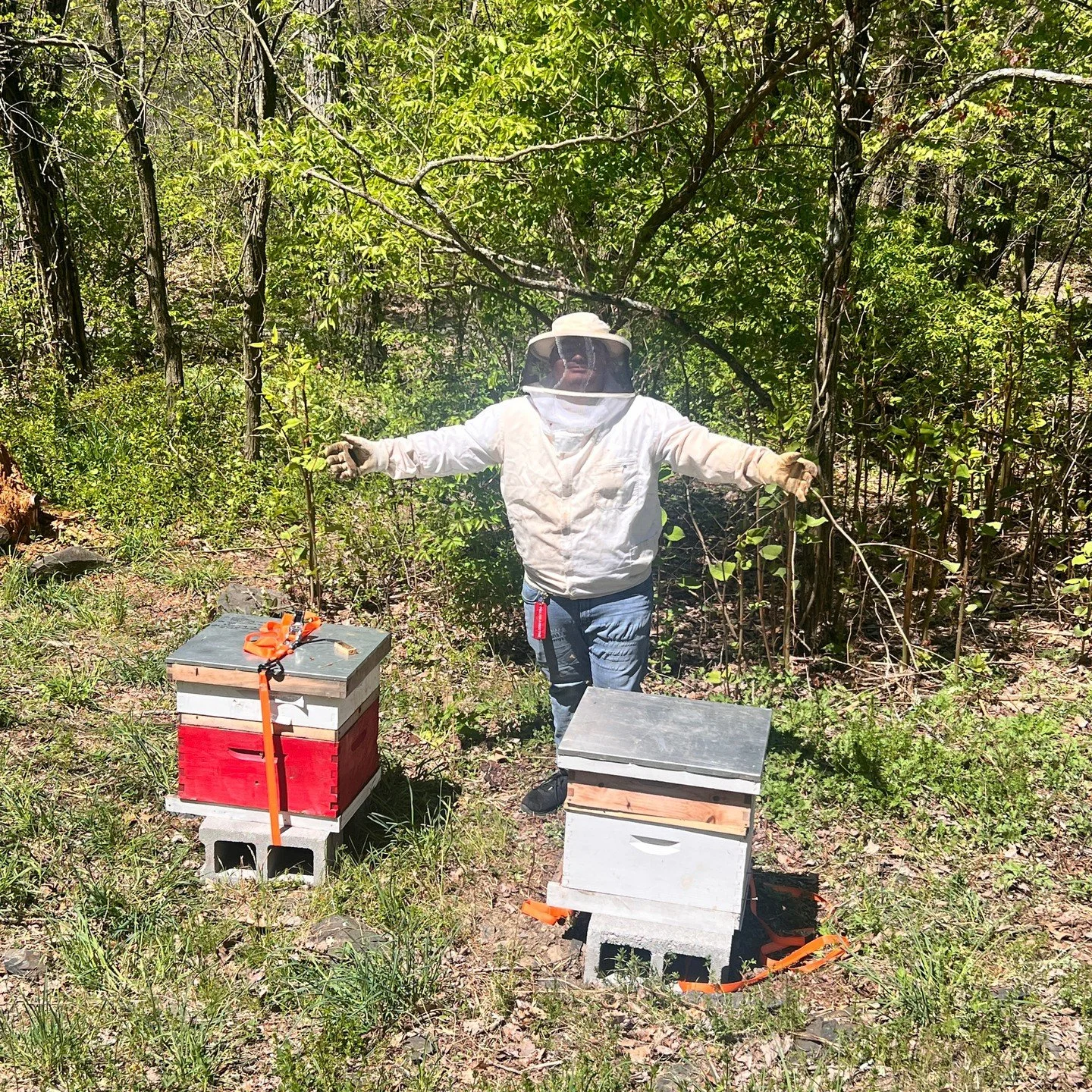 With the snow blanketing the land, all the hives are tucked beneath winter&rsquo;s quiet protection. But beneath the frost, life is preparing to rise. Spring is around the corner!🌺🐝🌸
As the bees rest and the earth renews, you can help us prepare f
