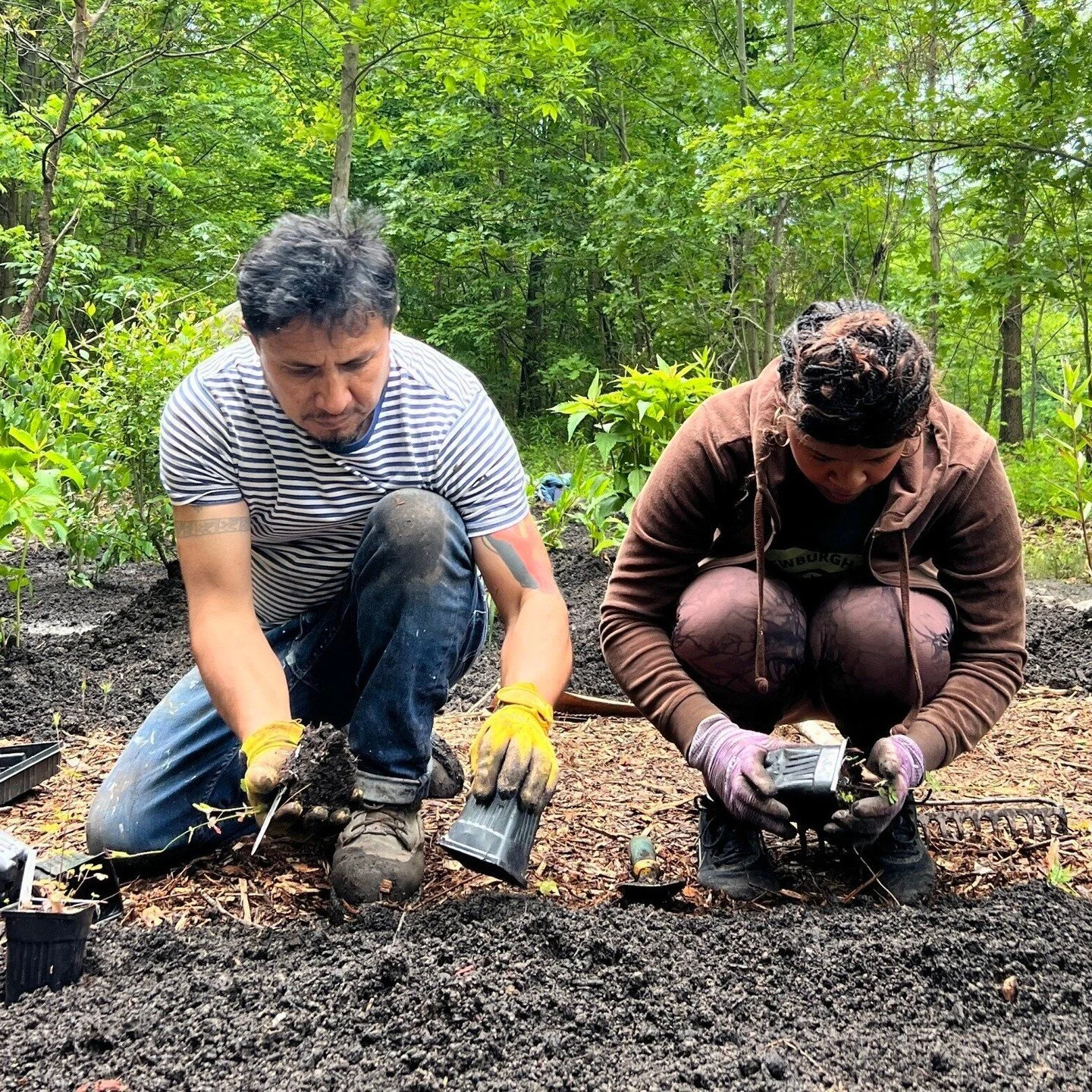 Big things are shifting at Newburgh Sanctuary 💚 It&rsquo;s about growth, long-term care for the land, and new ways our community can be more deeply rooted in what we&rsquo;re building at Crystal Lake. 👀
Think:
✨ a major milestone
✨ new ways to belo