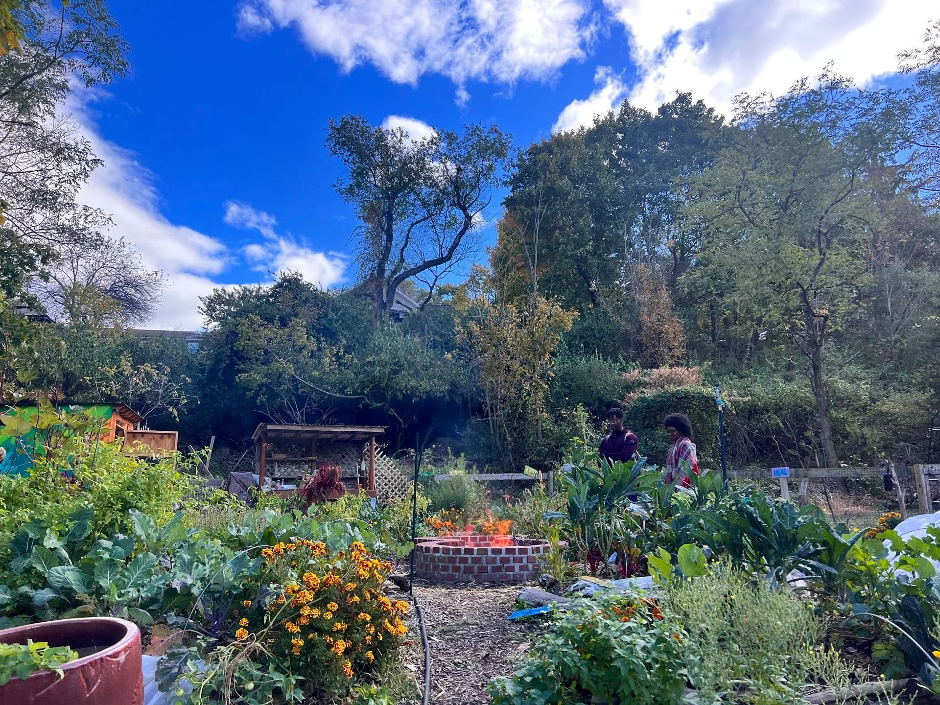 Newburgh Sanctuary is opening new ways for our community to care for the land together. 🌿
We&rsquo;re excited to introduce Sanctuary Memberships &mdash; a way to support the land, the programs, and the growing community around Crystal Lake.
Membersh